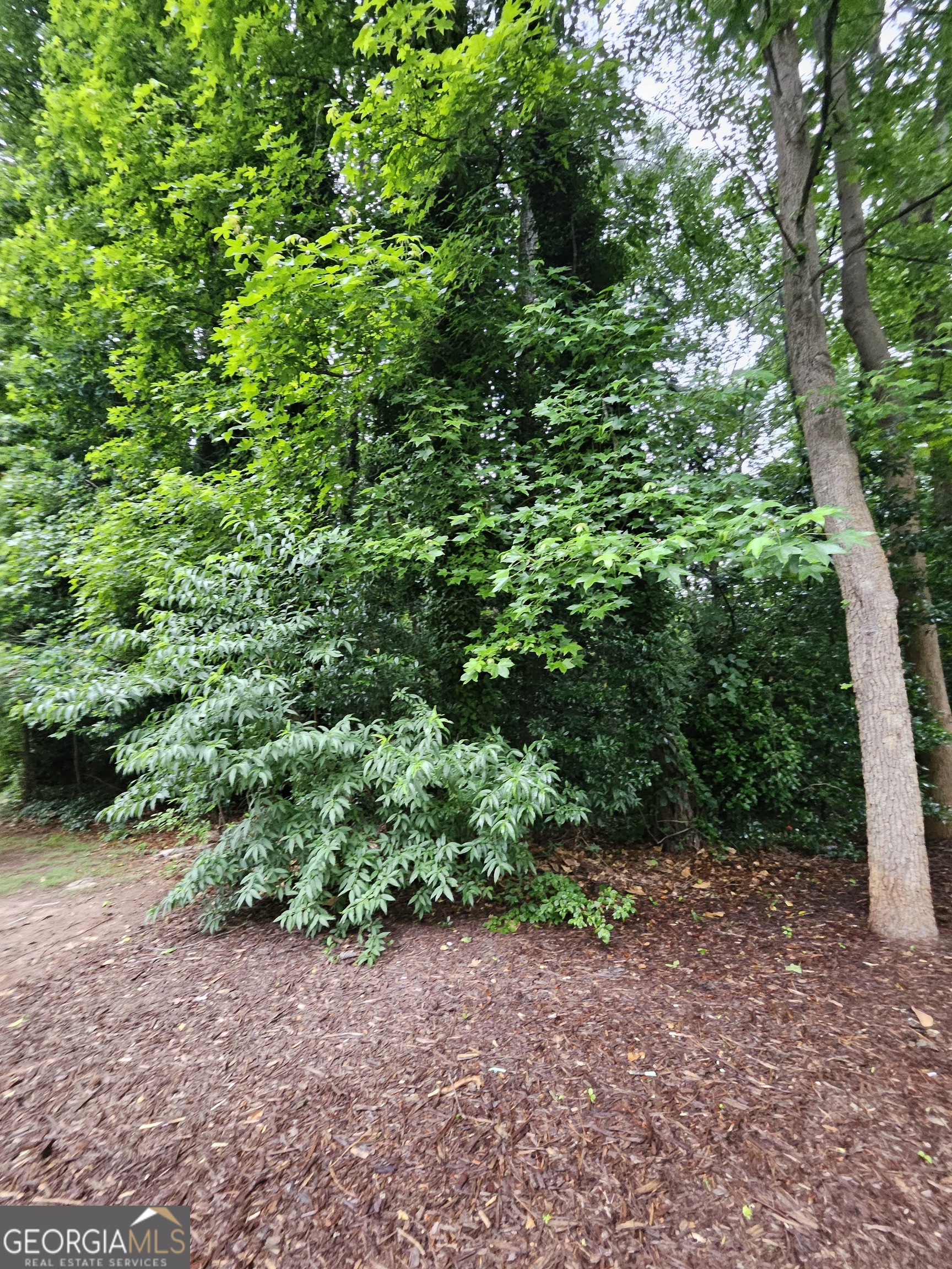 2409 Tarian Drive Property Photo 3
