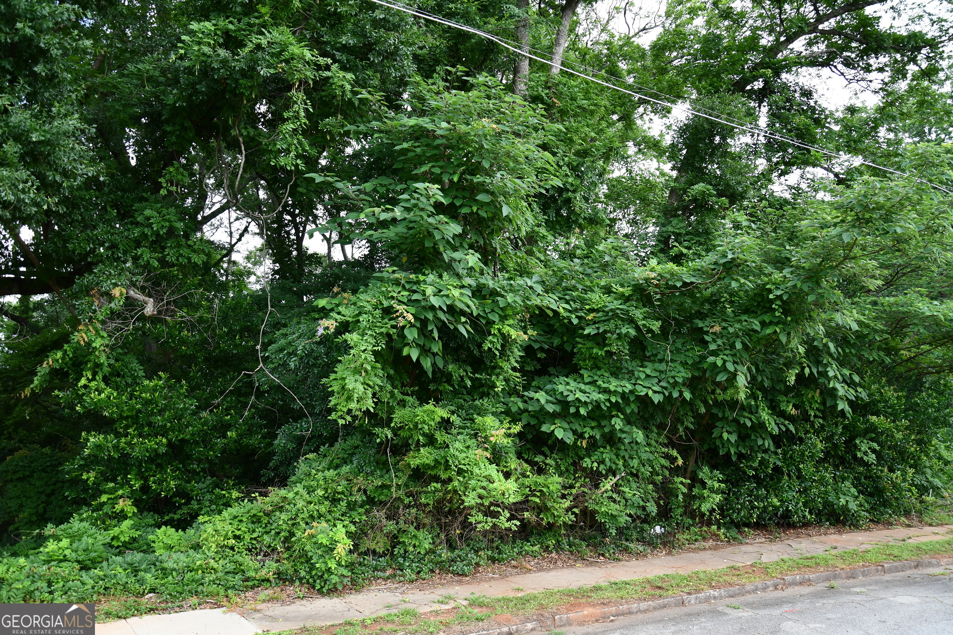 6997 Bruce Circle Property Photo 3