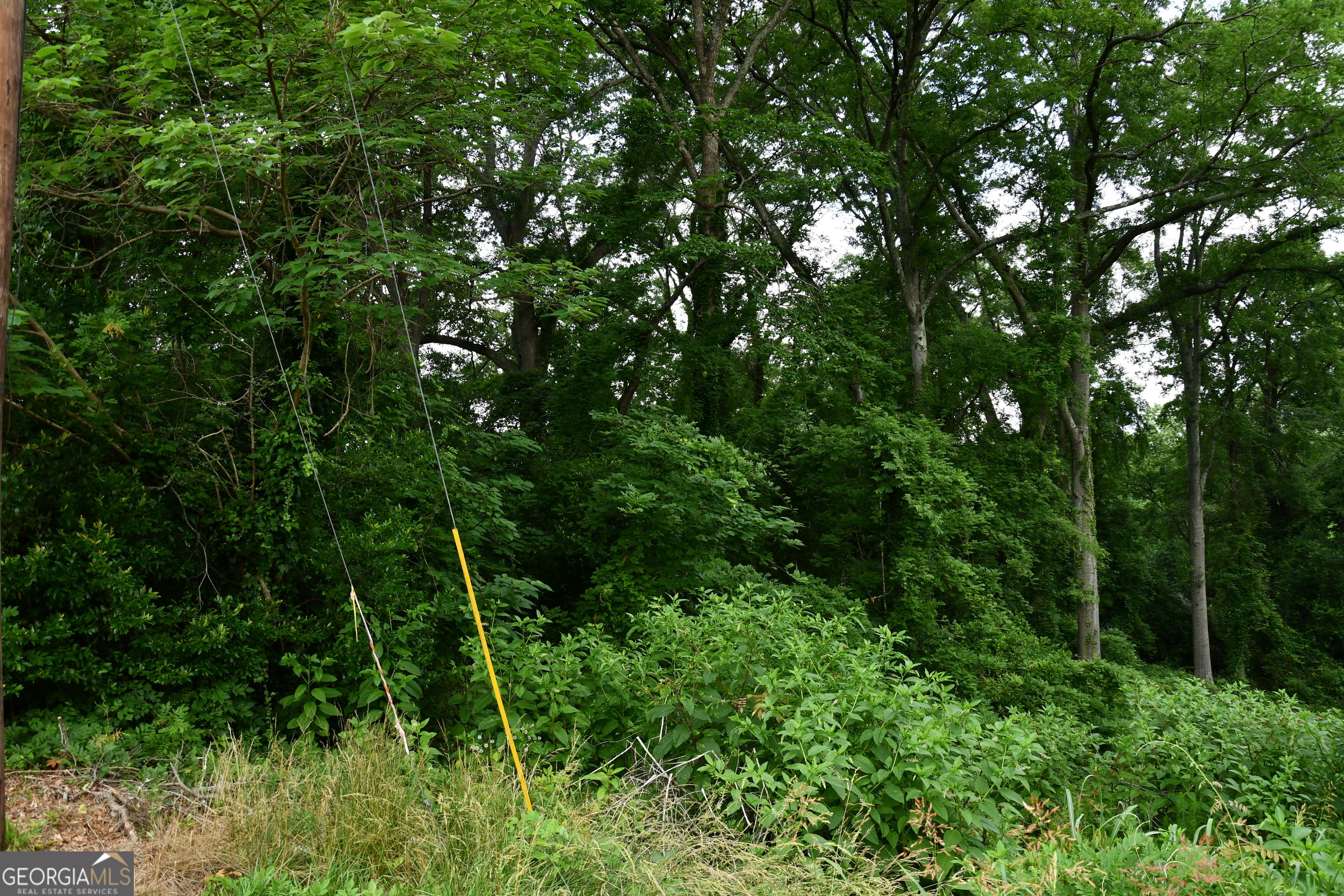 6997 Bruce Circle Property Photo 5