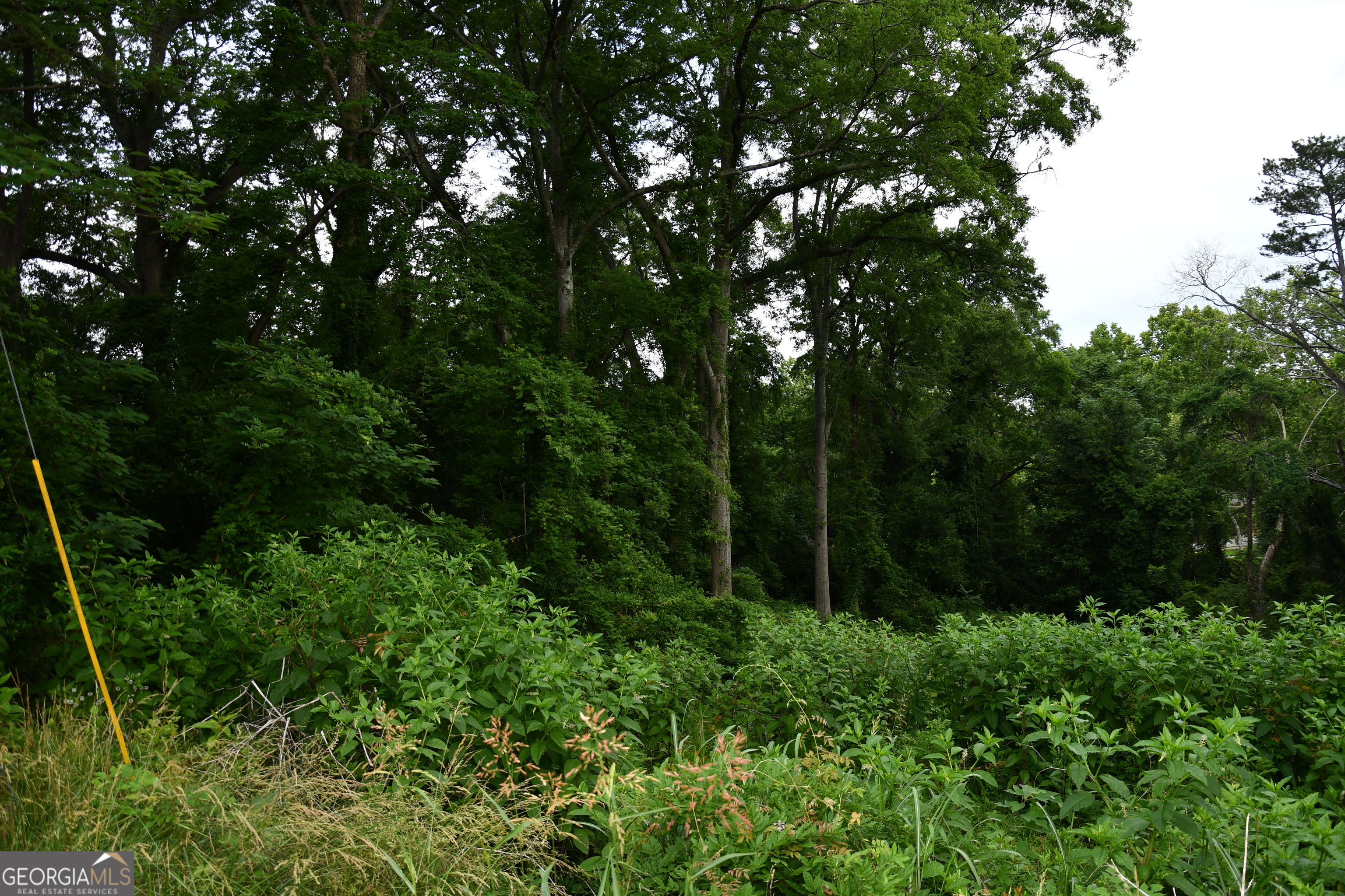 6997 Bruce Circle Property Photo 6