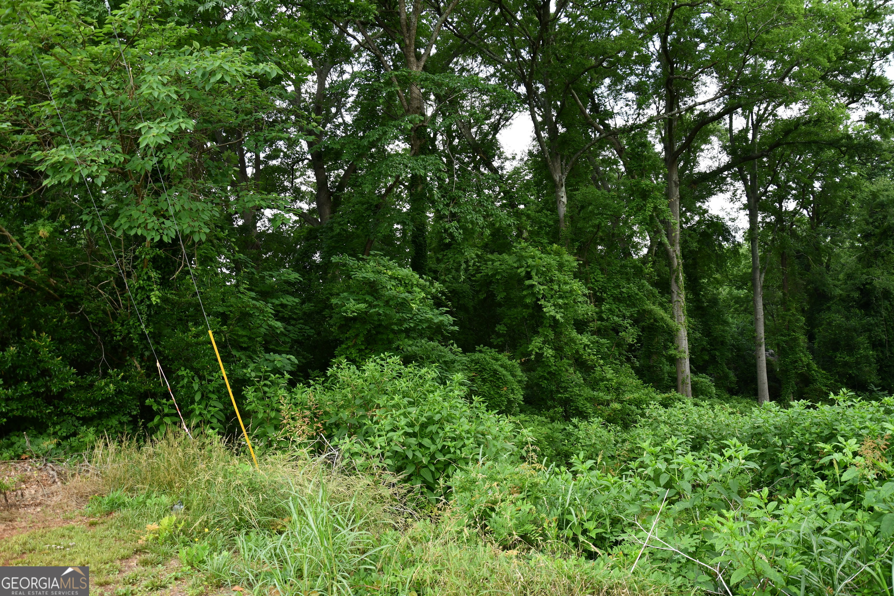 6997 Bruce Circle Property Photo 7