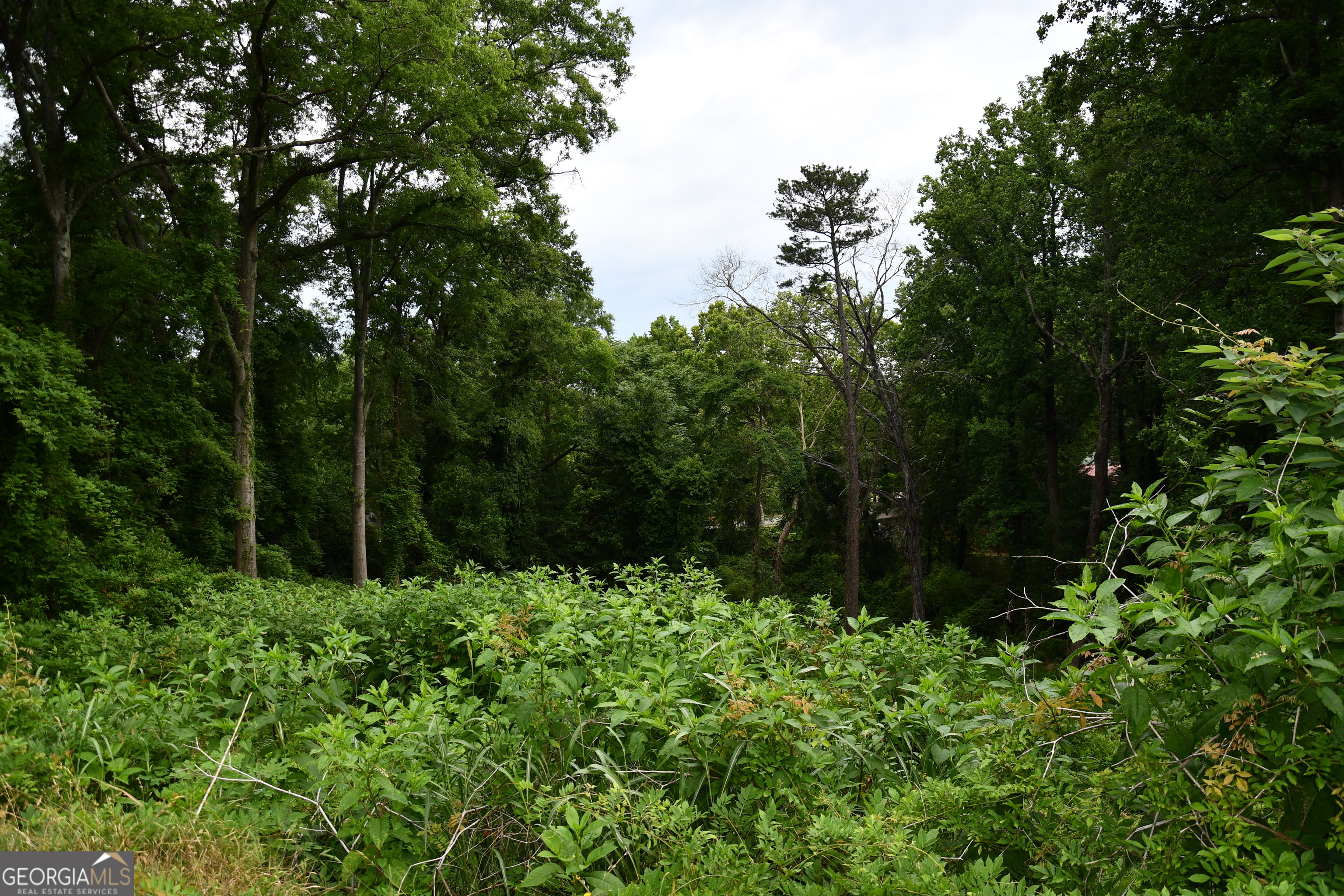 6985 Bruce Circle Property Photo 9