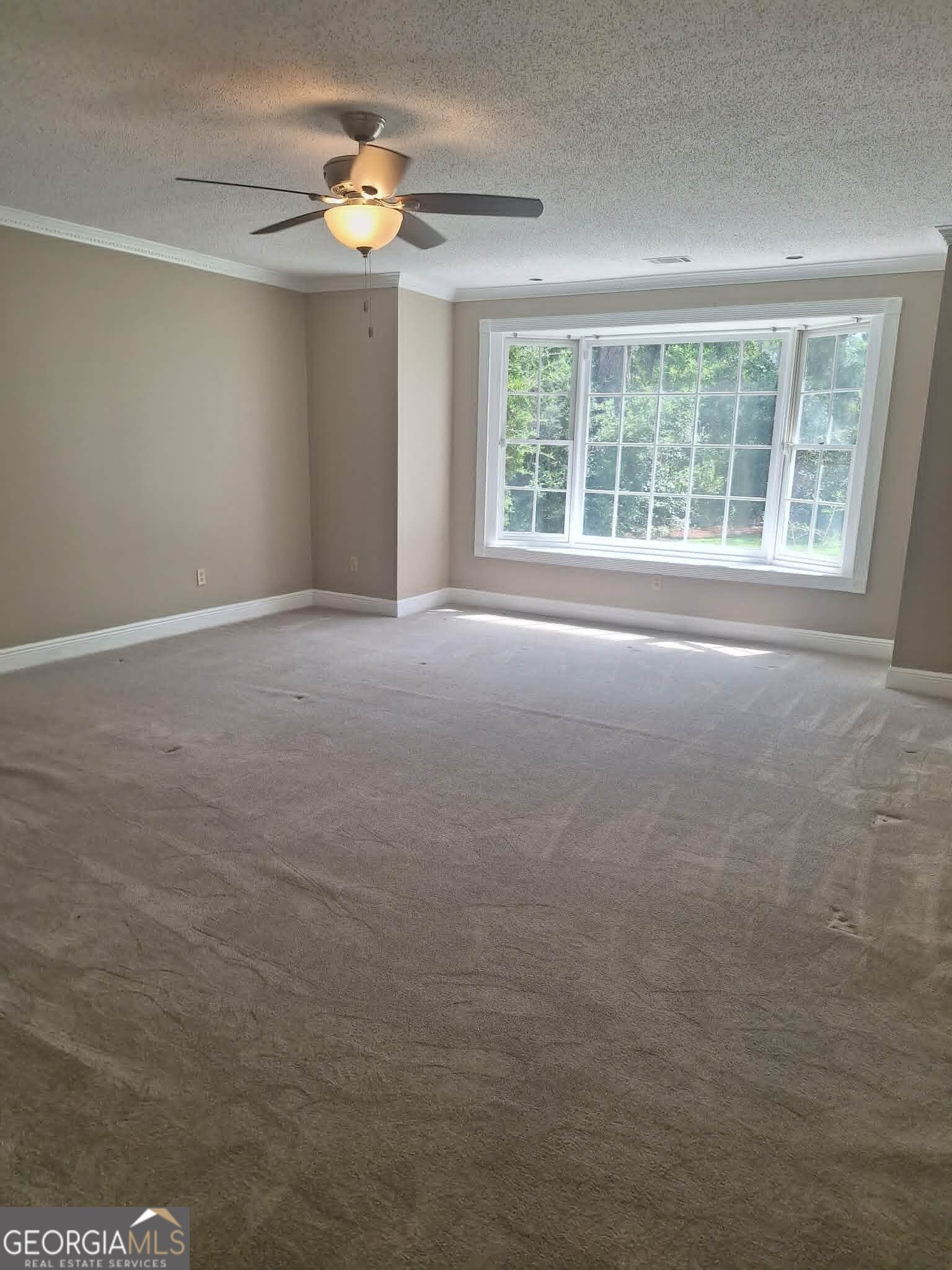 250 Weatherly Drive Property Photo 37