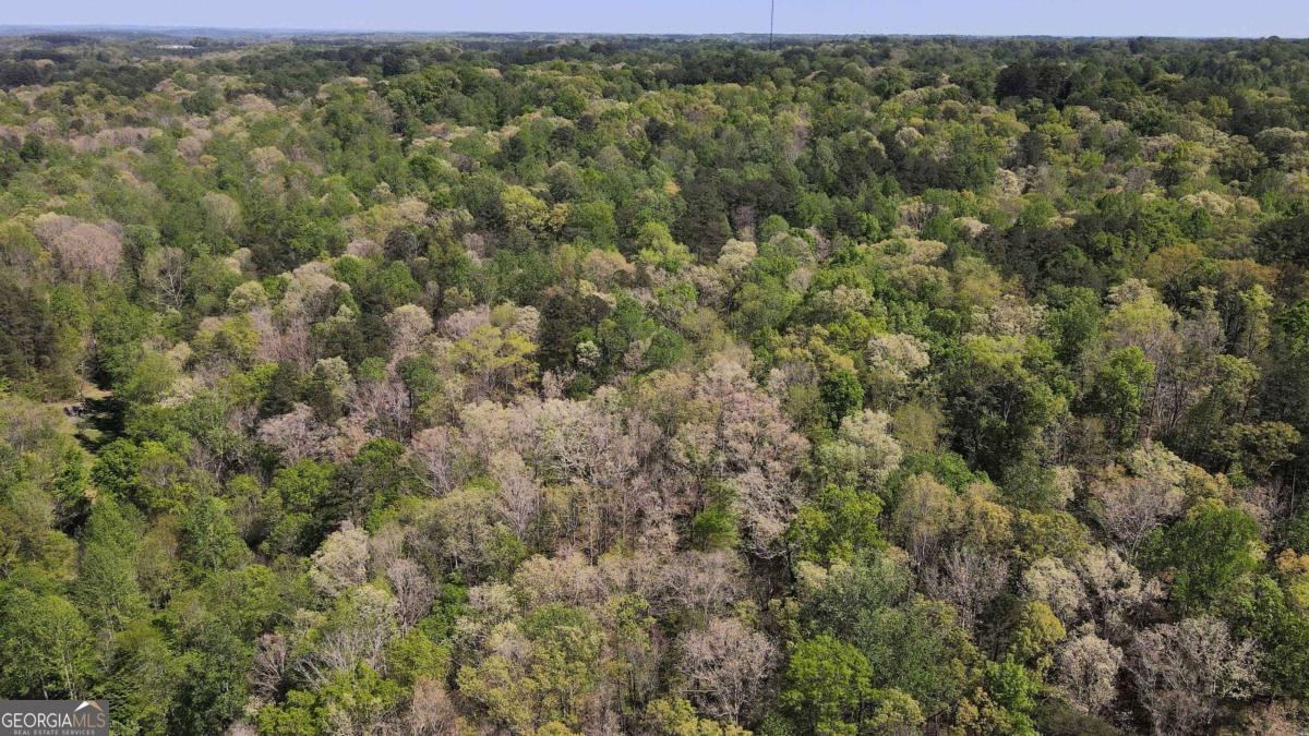 0 Crane Mountain Road Property Photo 3