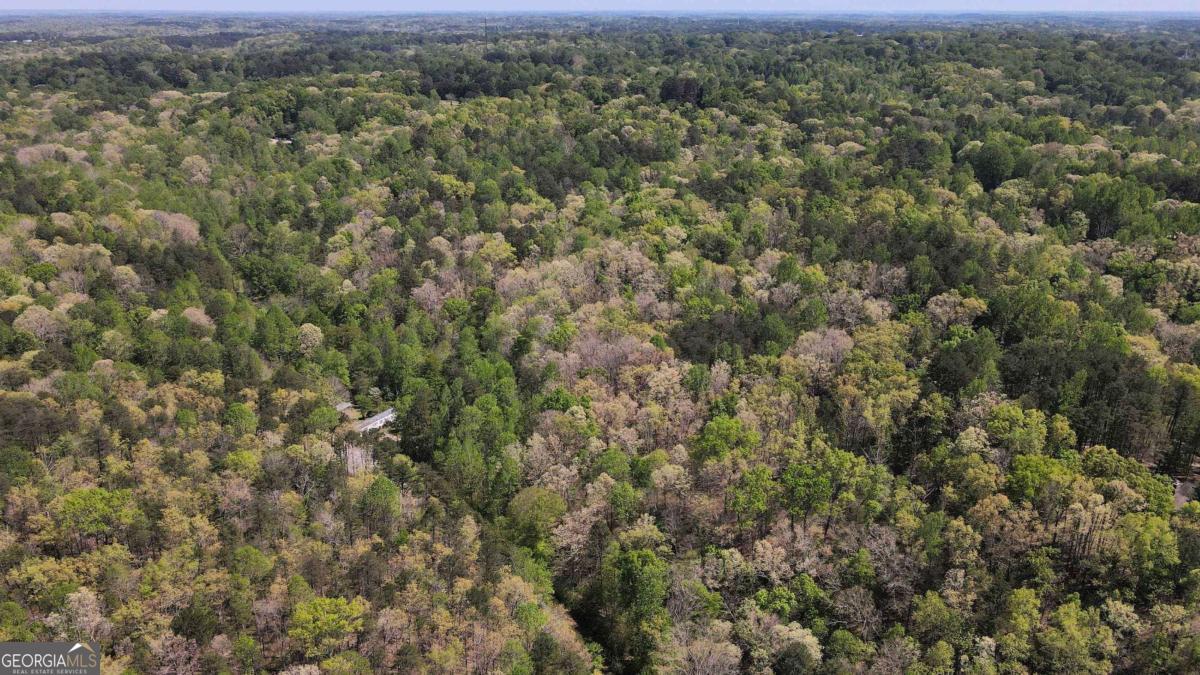 0 Crane Mountain Road Property Photo 4
