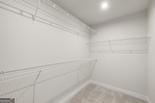 1049 Climbing Rose Way Property Photo 27
