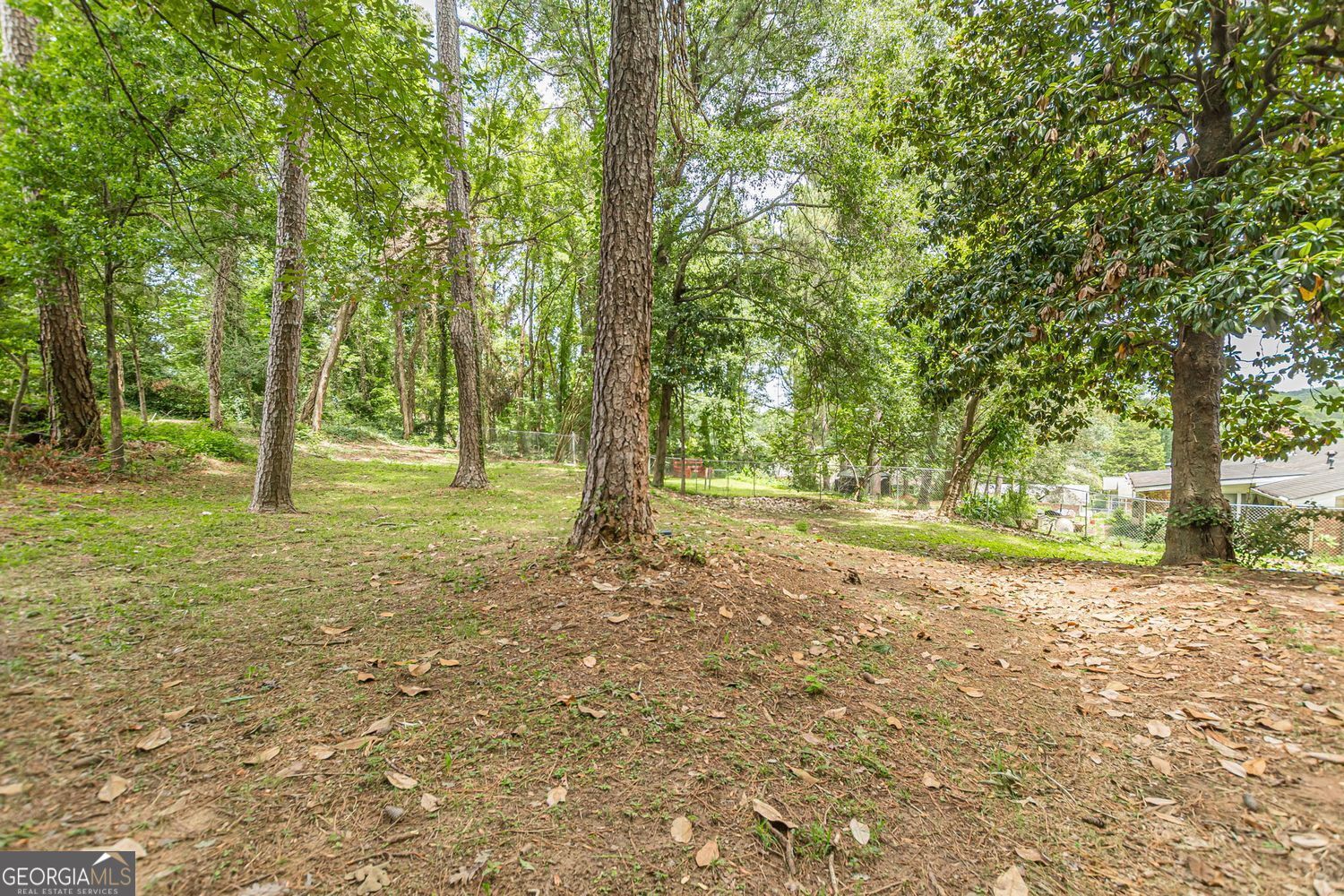 3552 Springrun Drive Property Photo 74