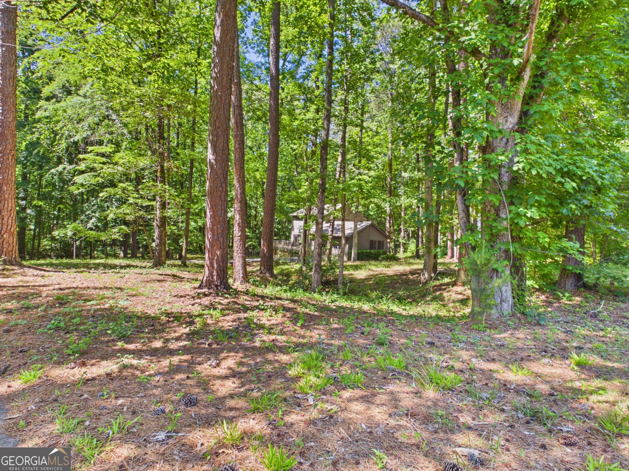 202 Hilltop Circle Property Photo 43