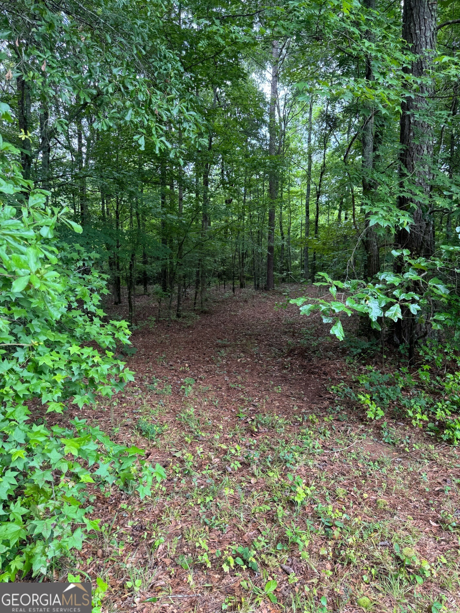 646 Lakeside Road Property Photo 6