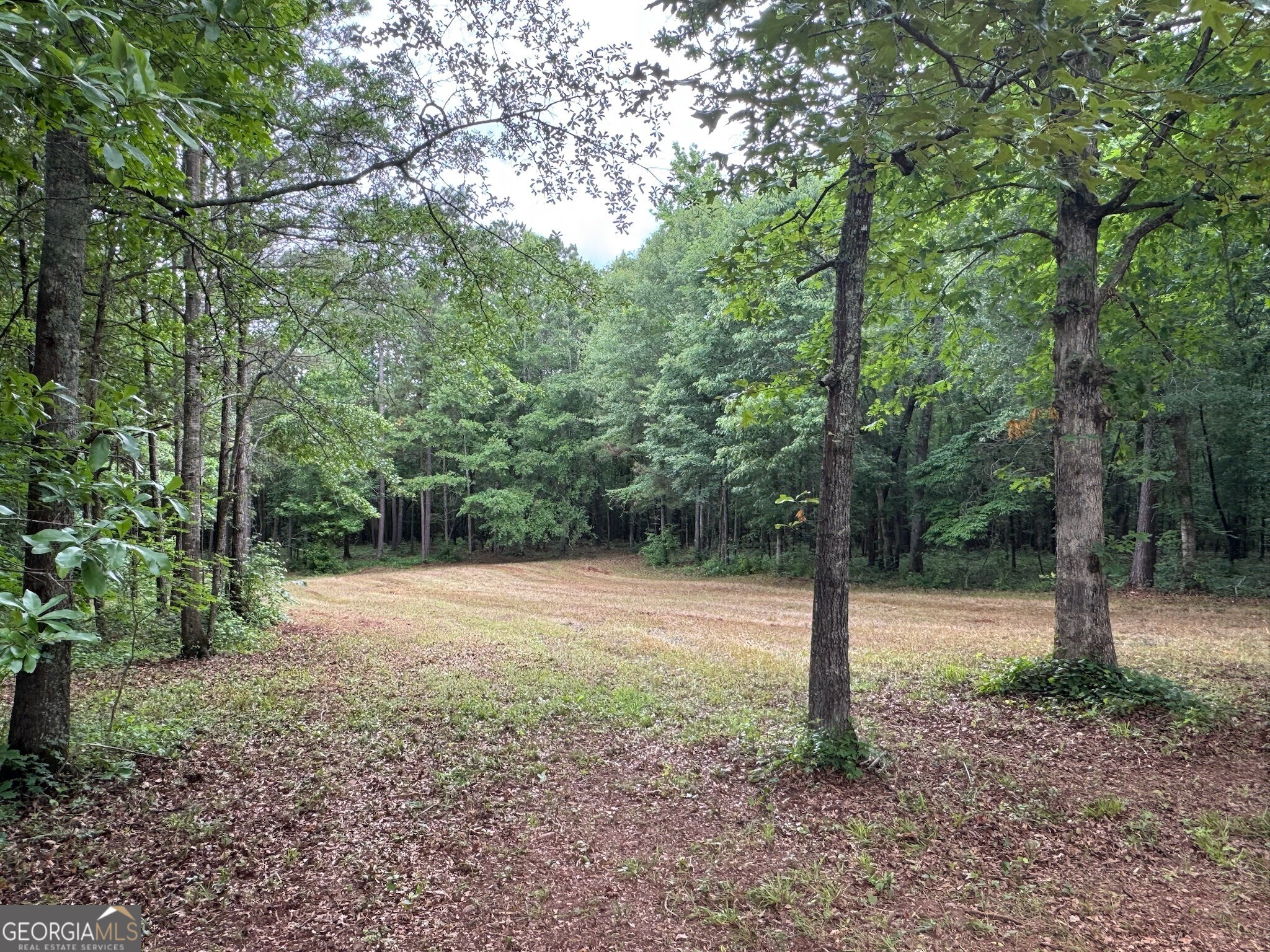 646 Lakeside Road Property Photo 9