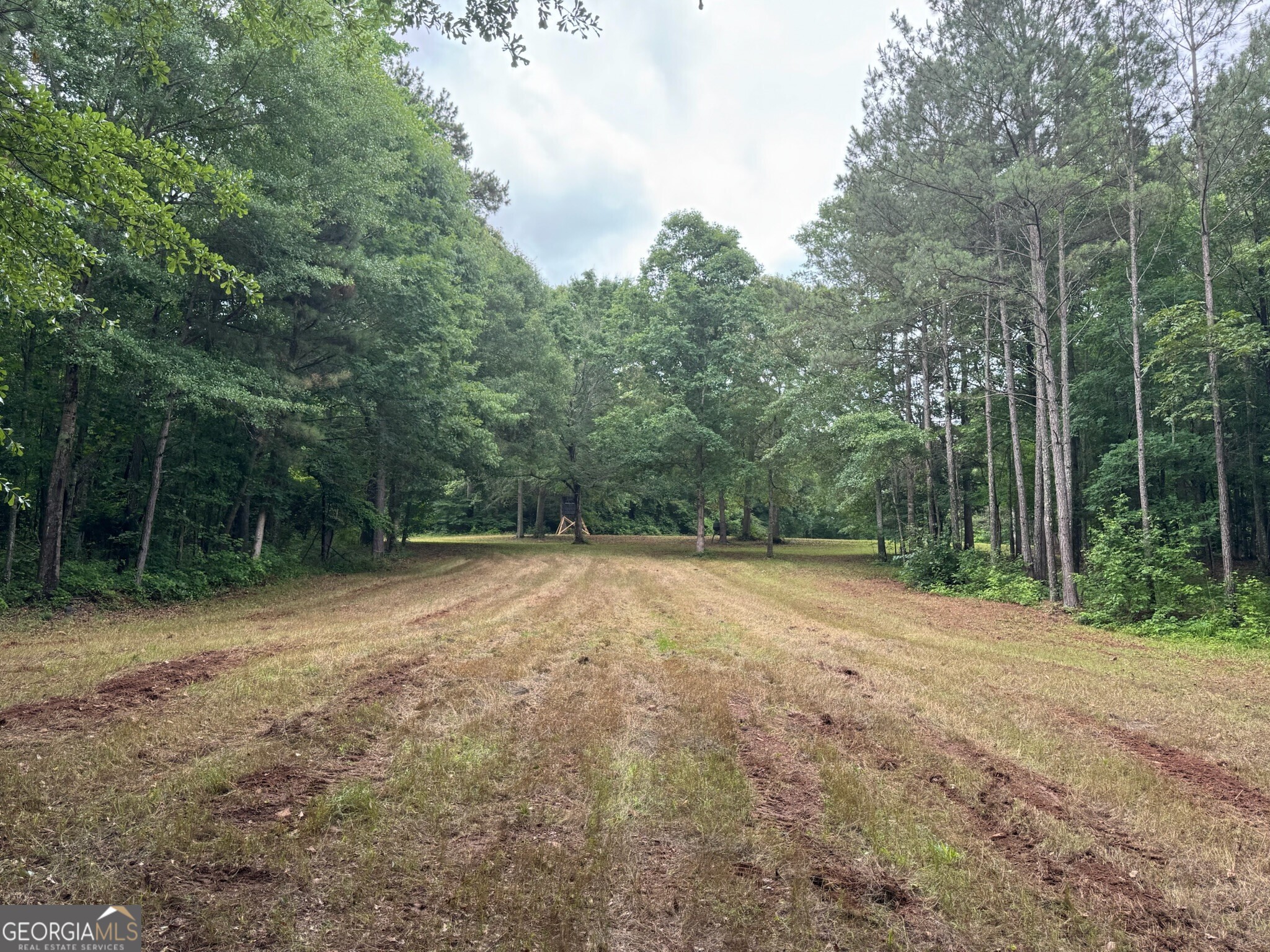 646 Lakeside Road Property Photo 10