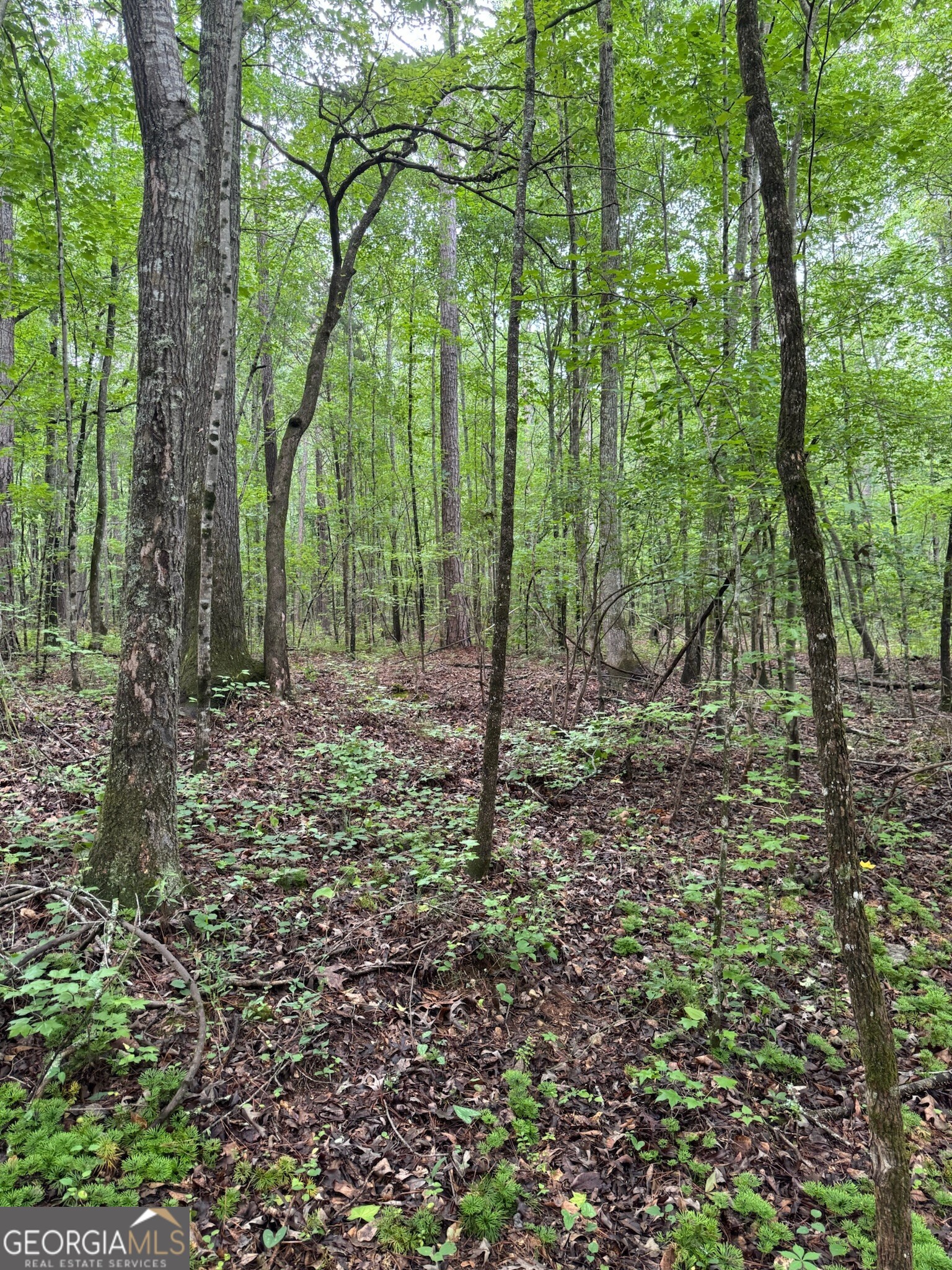 646 Lakeside Road Property Photo 16