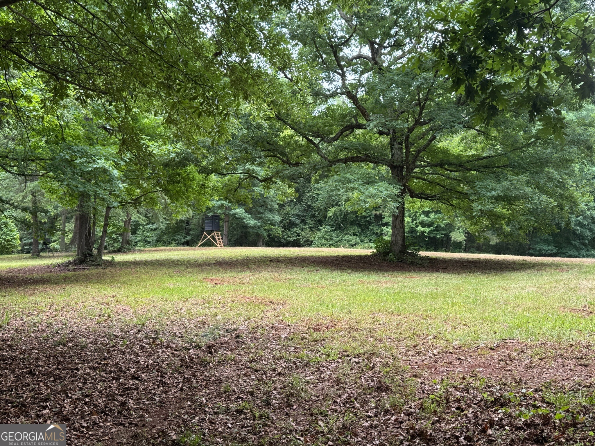 646 Lakeside Road Property Photo 18
