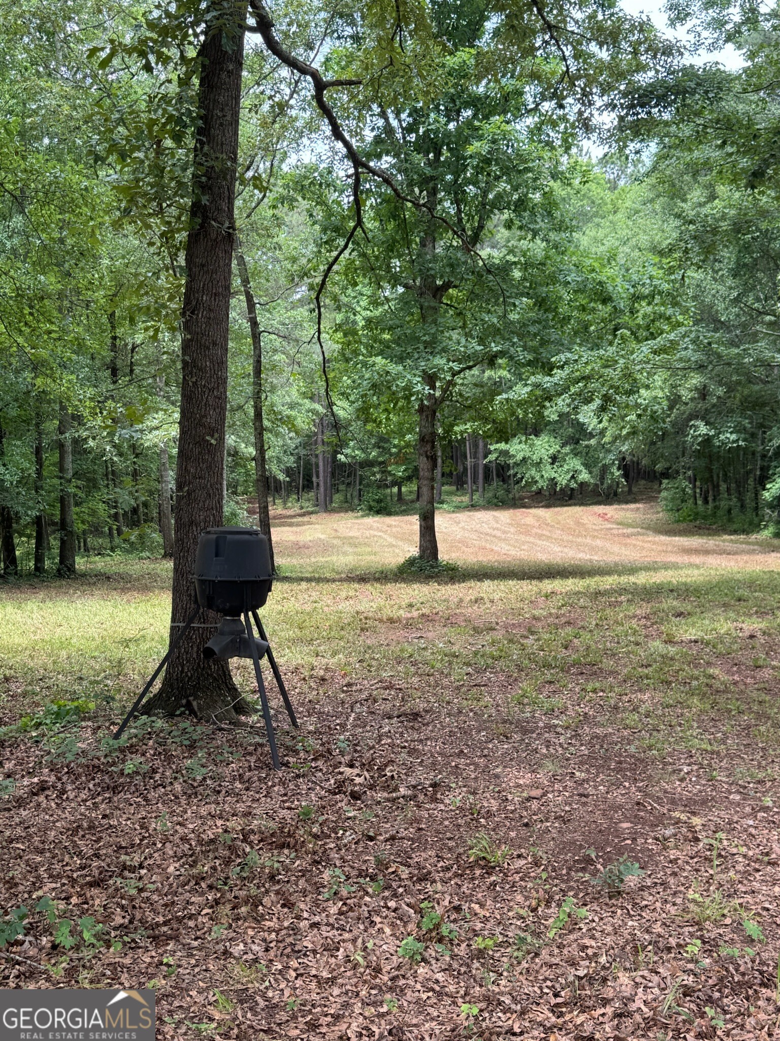 646 Lakeside Road Property Photo 19