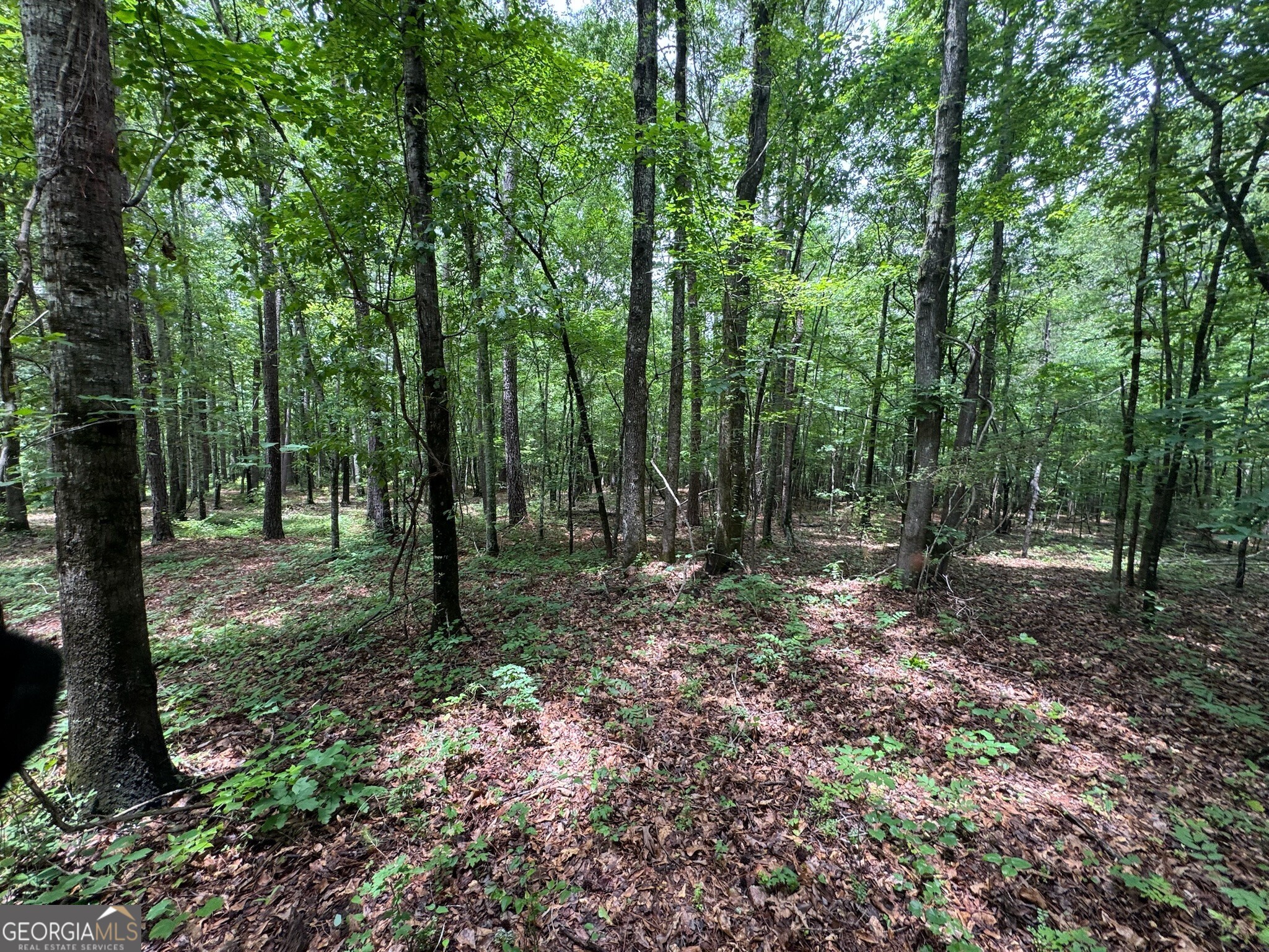 646 Lakeside Road Property Photo 20
