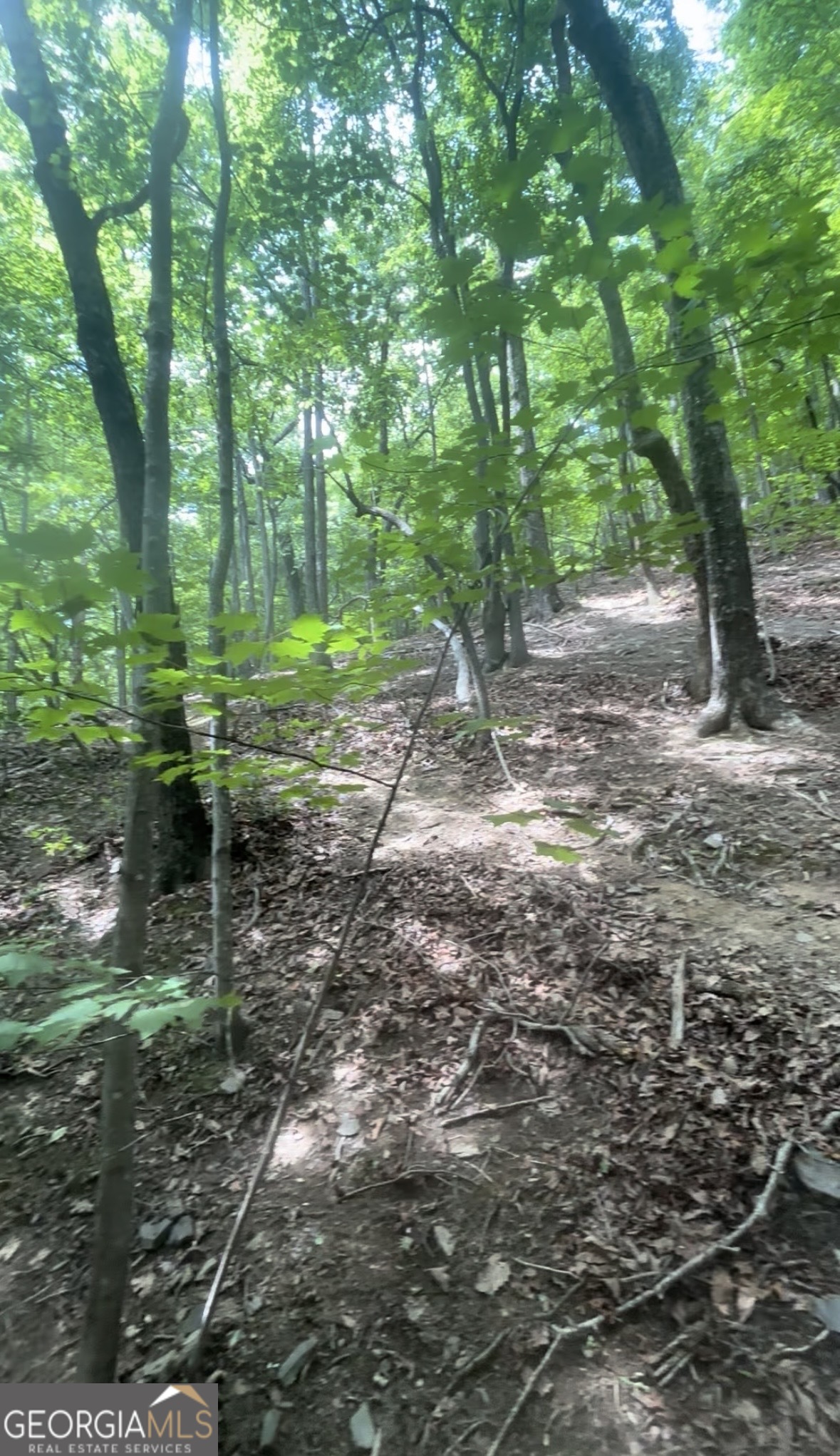1127 Quail Cove Drive Property Photo 2