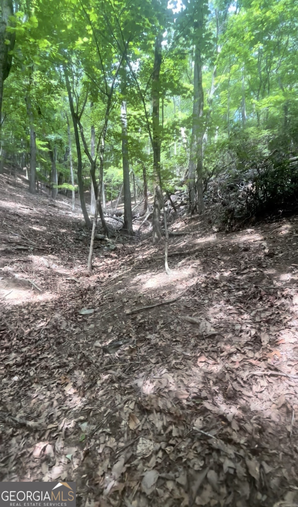 1127 Quail Cove Drive Property Photo 3