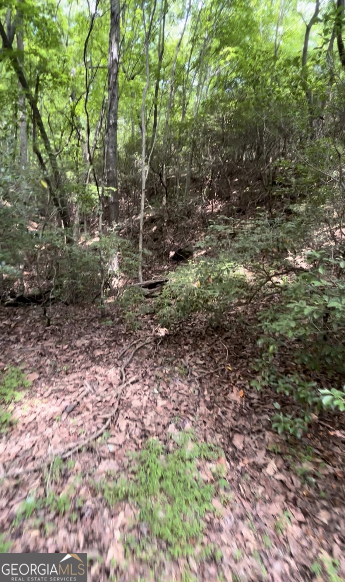1127 Quail Cove Drive Property Photo 4