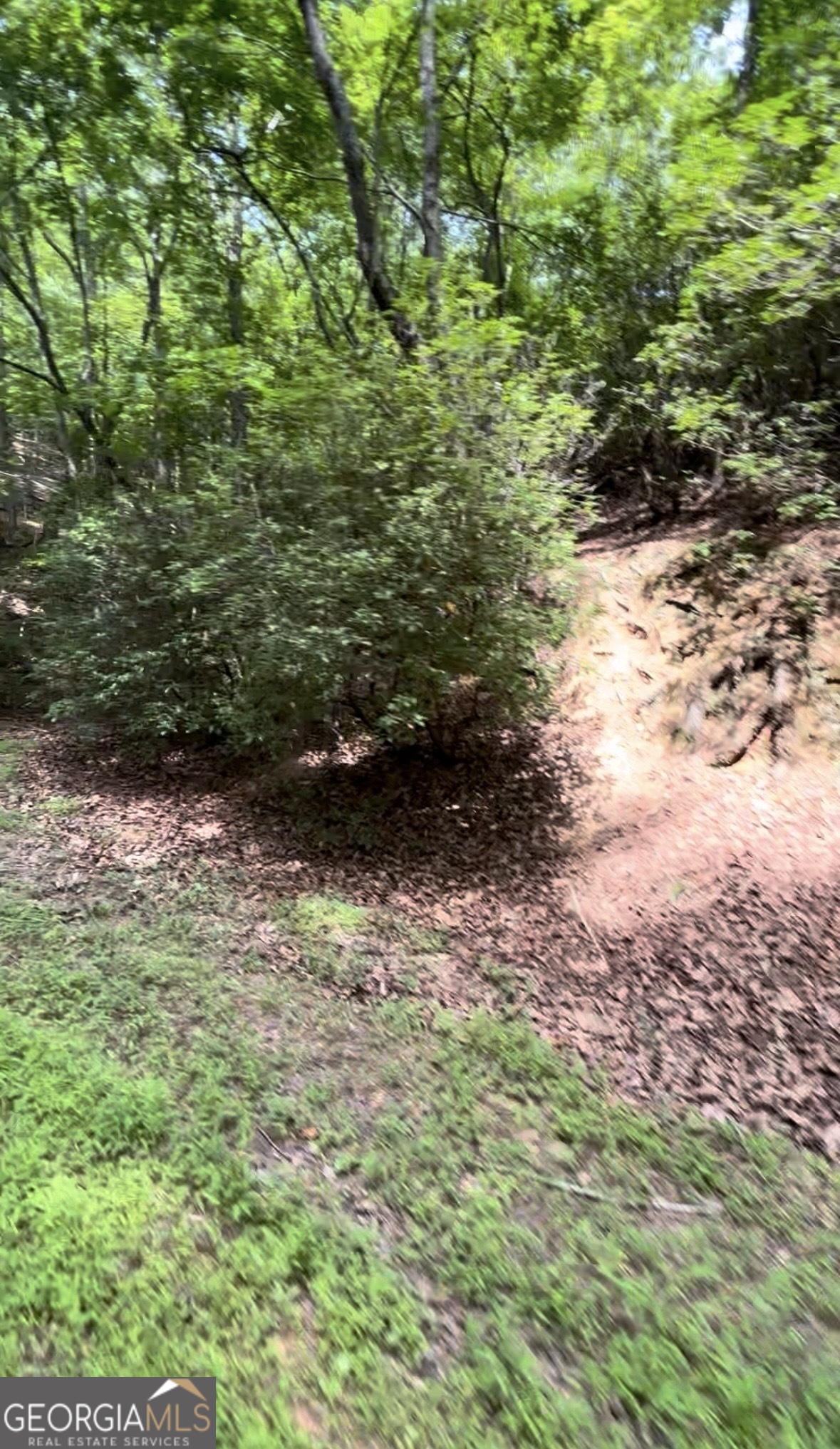 1127 Quail Cove Drive Property Photo 5