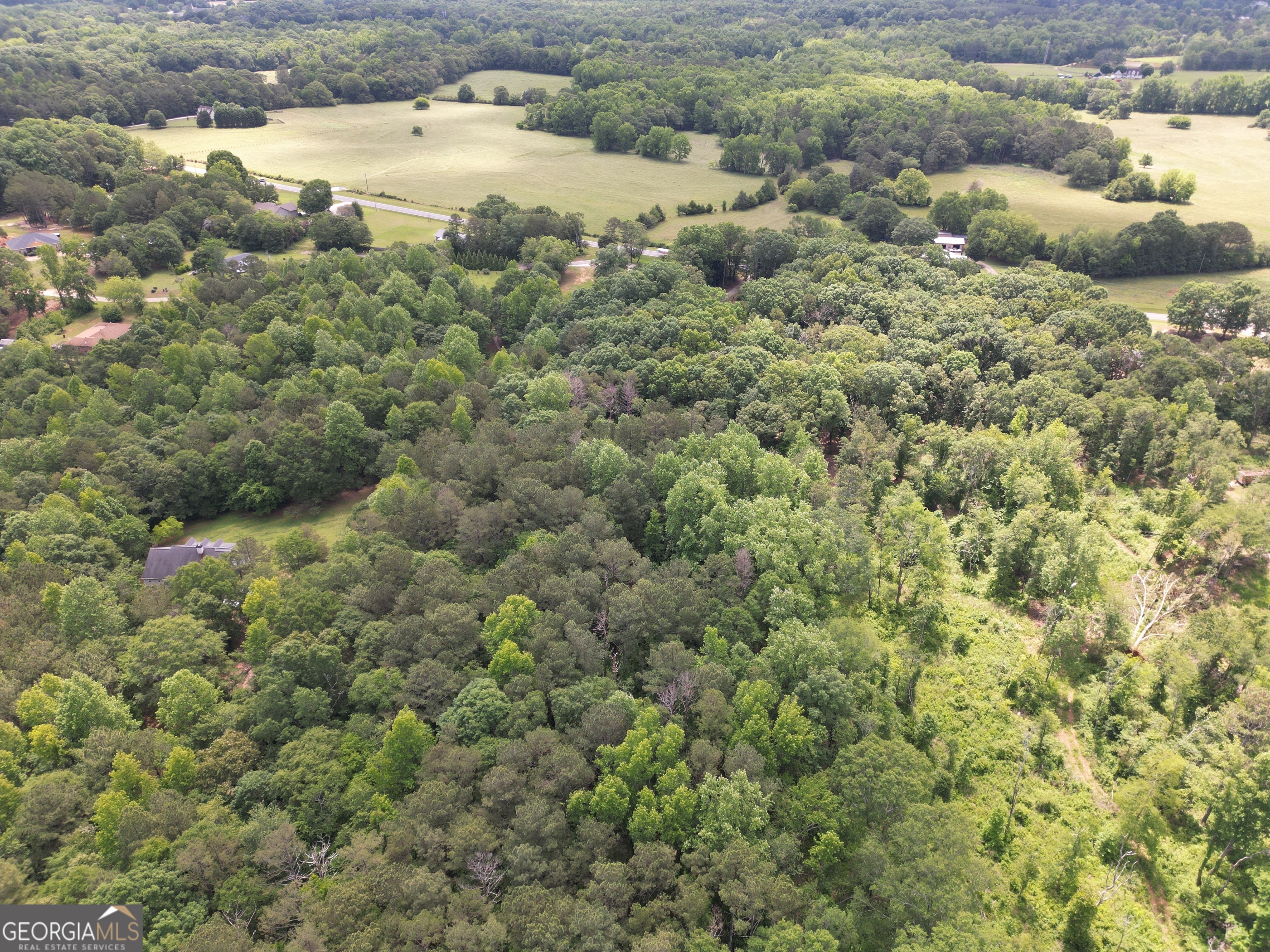 0 Harrison Johnson Road Property Photo 6