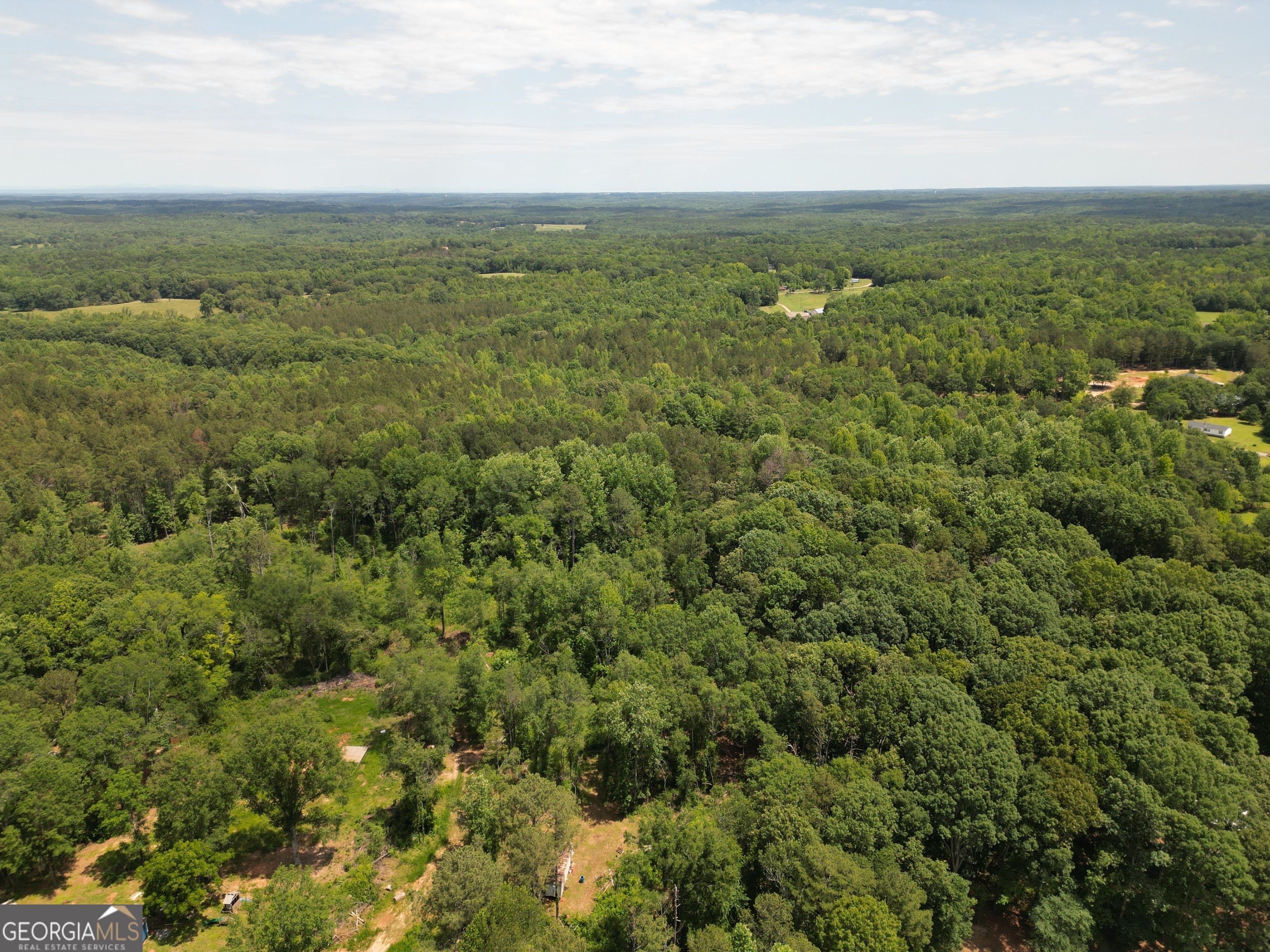 0 Harrison Johnson Road Property Photo 8