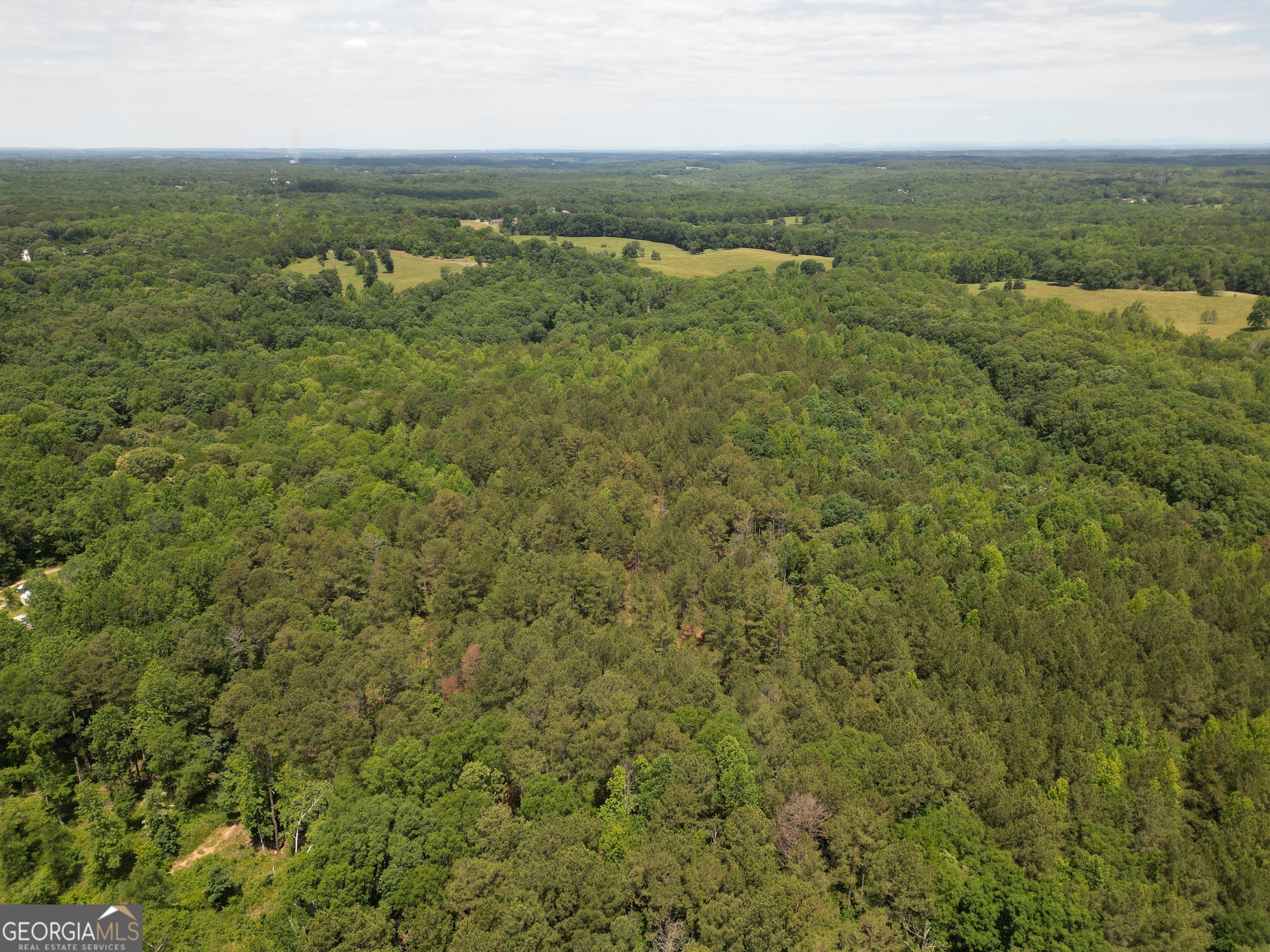 0 Harrison Johnson Road Property Photo 10
