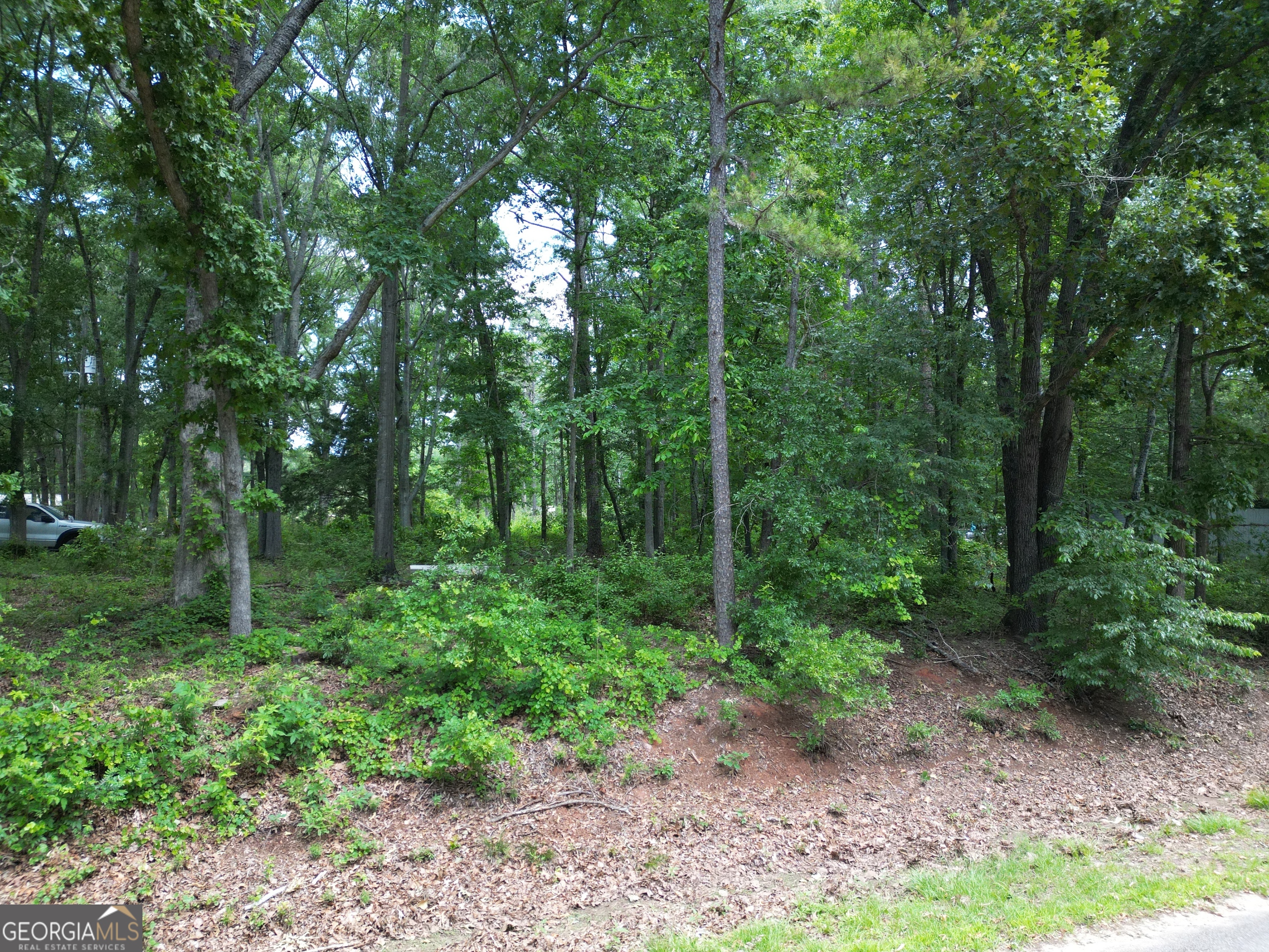 0 Harrison Johnson Road Property Photo 12
