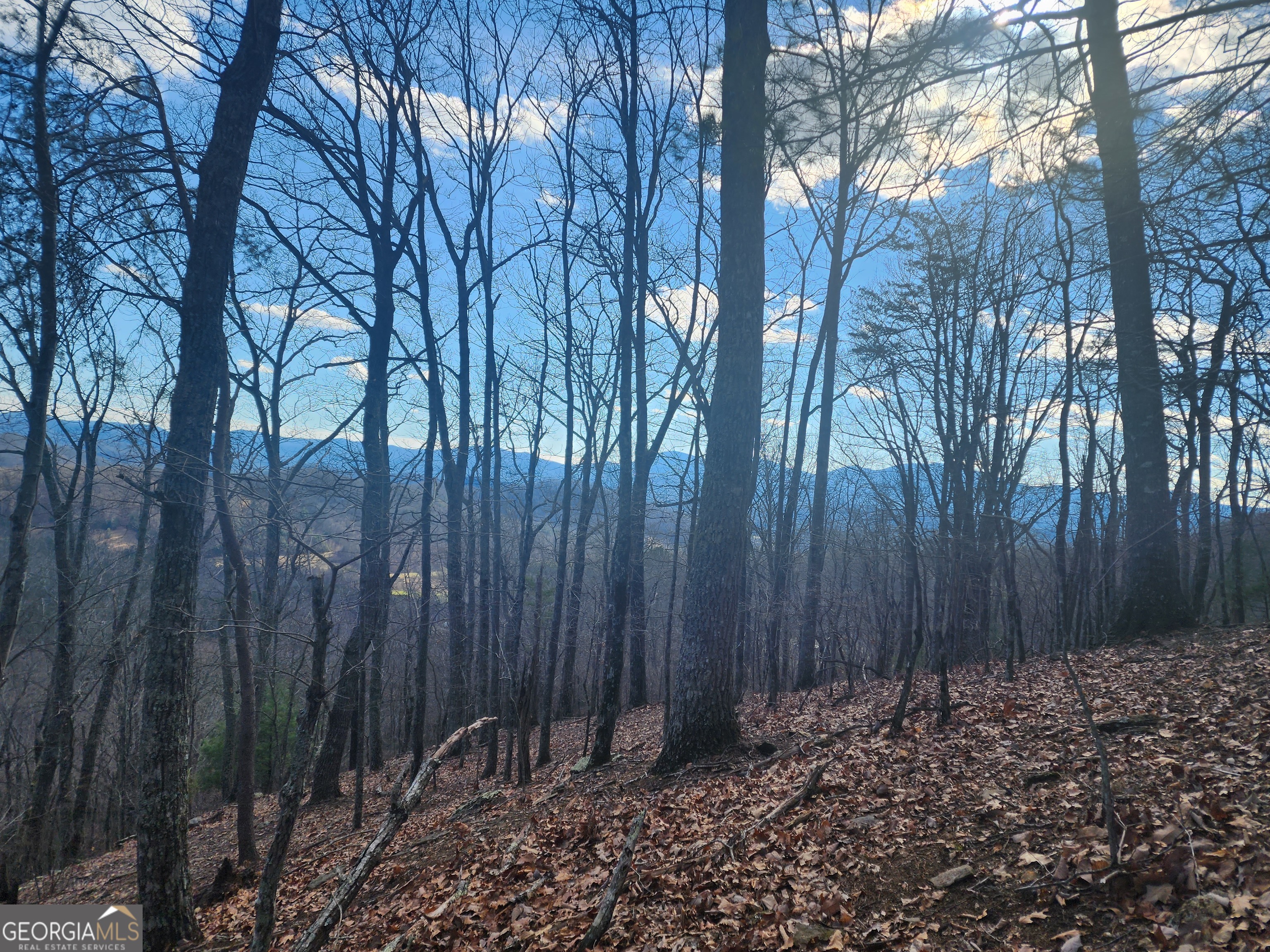 0 Trackrock Gap Road Property Photo 1