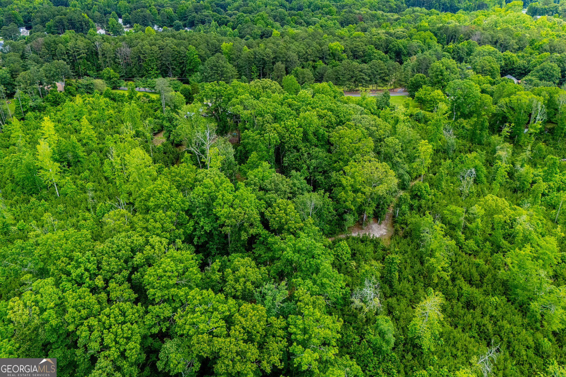0 Lindsey Lake Road Property Photo 23