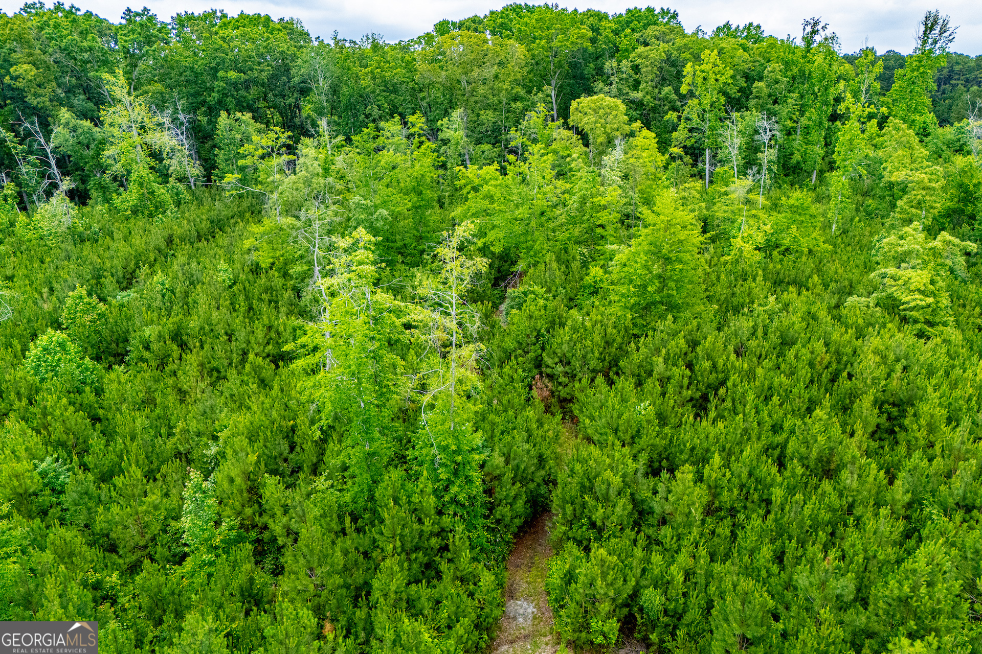 0 Lindsey Lake Road Property Photo 37