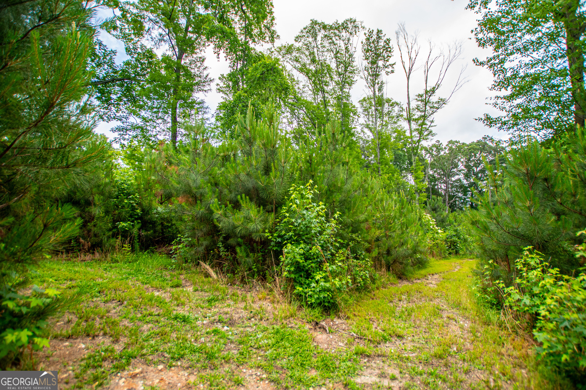 0 Lindsey Lake Road Property Photo 39