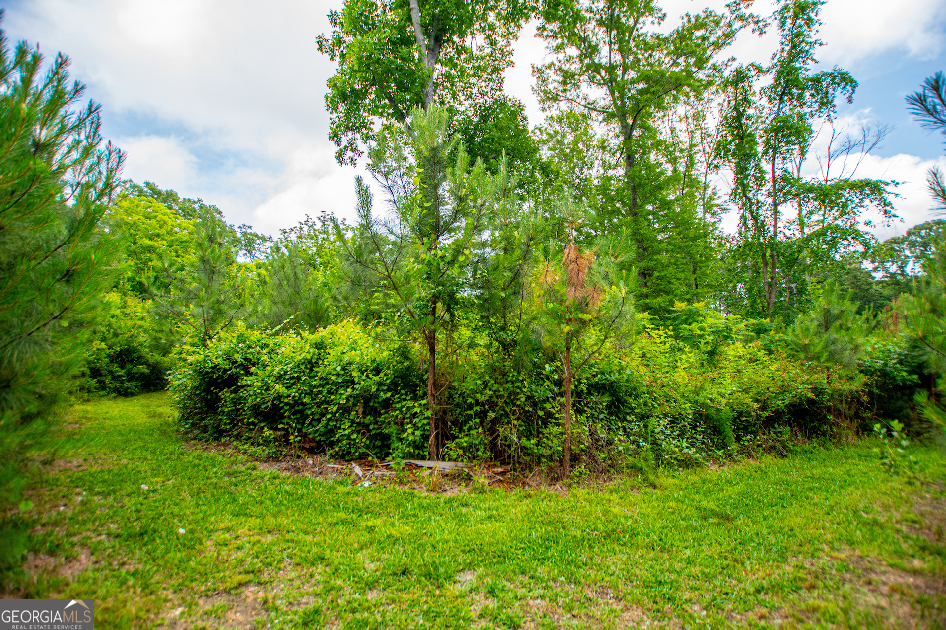 0 Lindsey Lake Road Property Photo 41