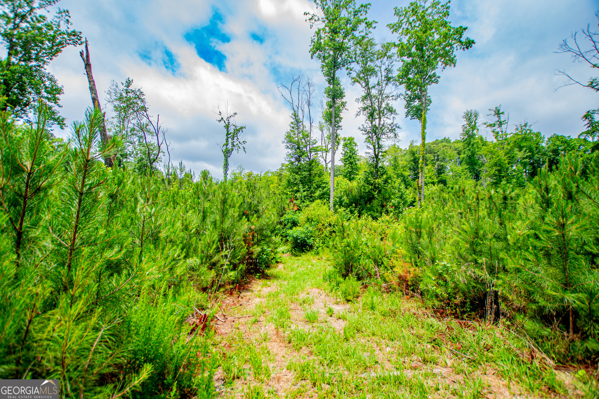 0 Lindsey Lake Road Property Photo 44