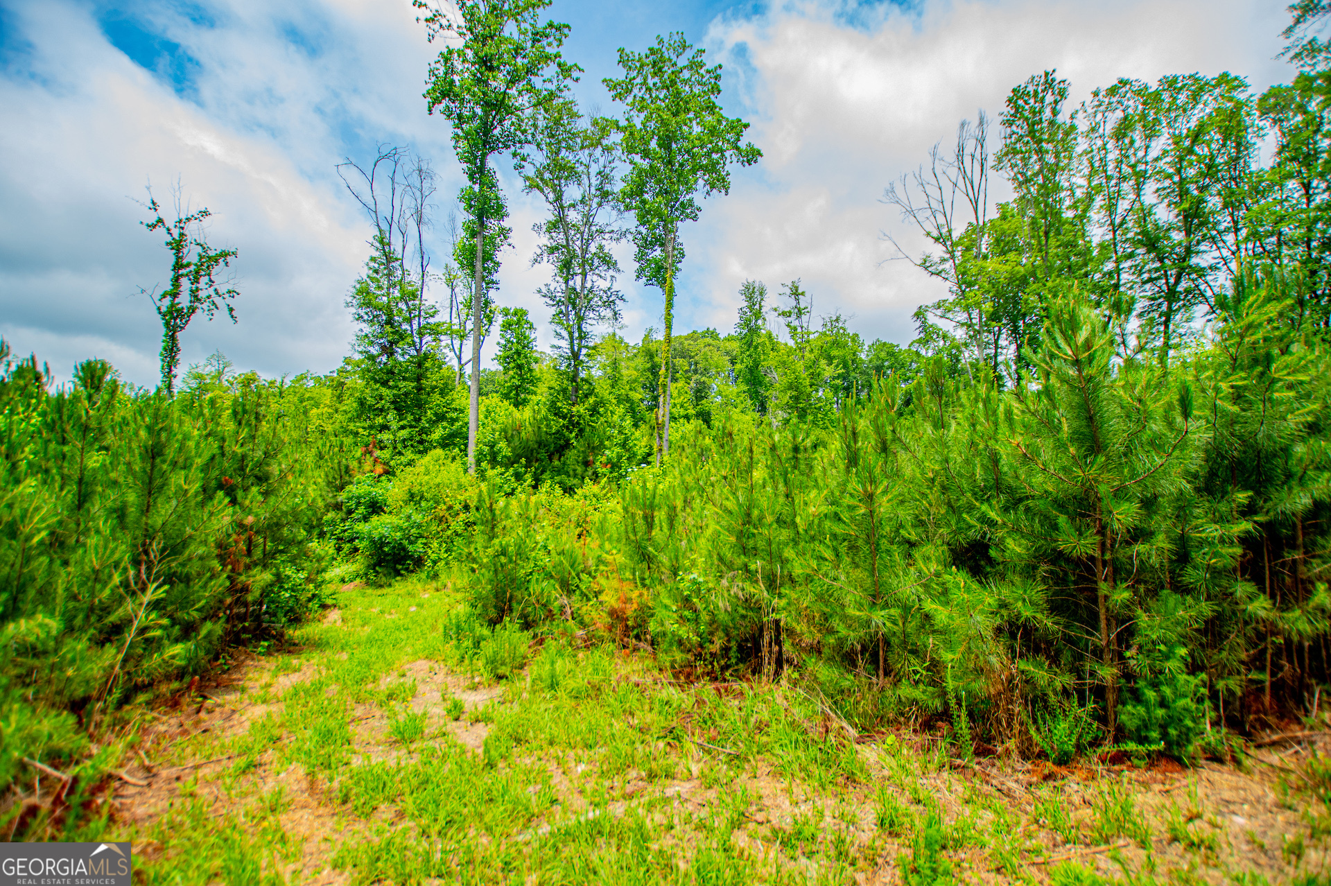 0 Lindsey Lake Road Property Photo 45