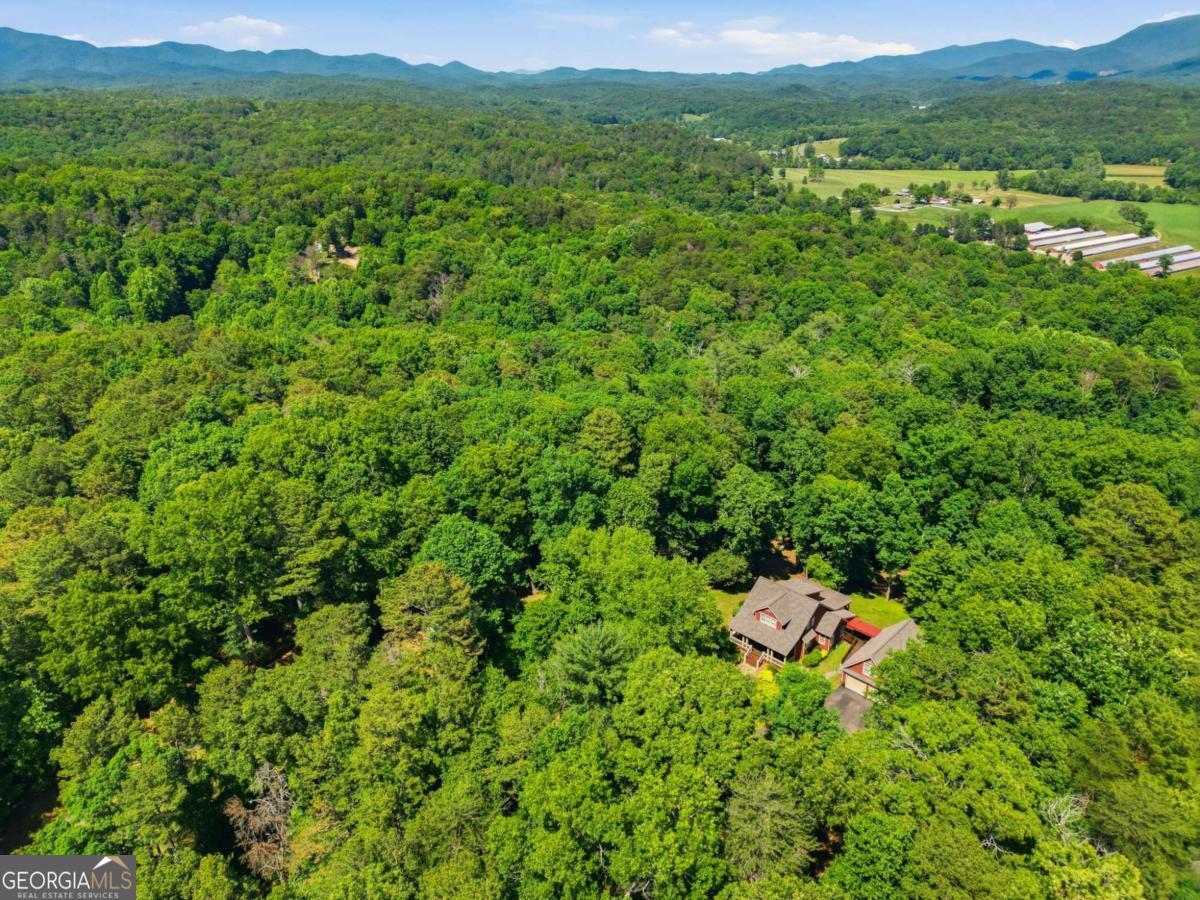 1110 Chatsworth Highway Property Photo 44