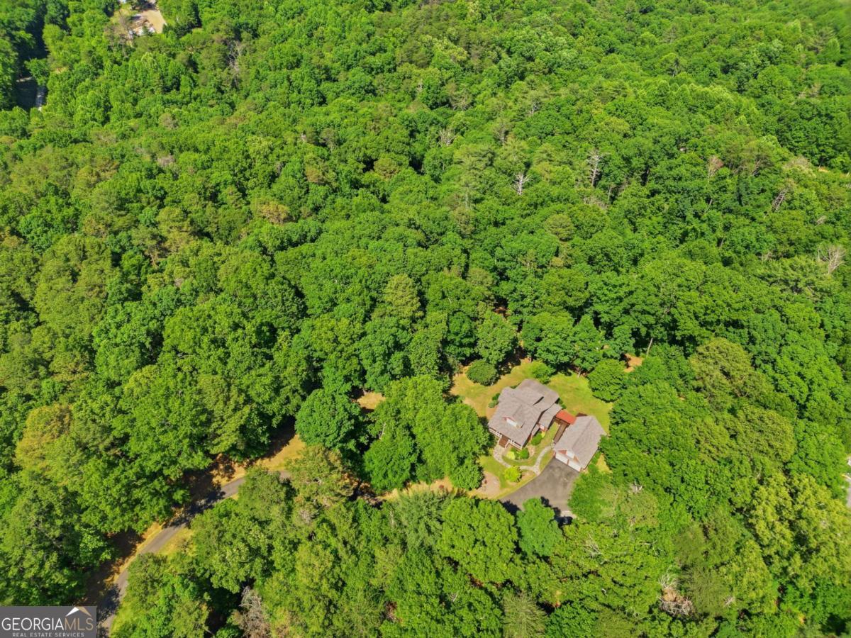 1110 Chatsworth Highway Property Photo 45