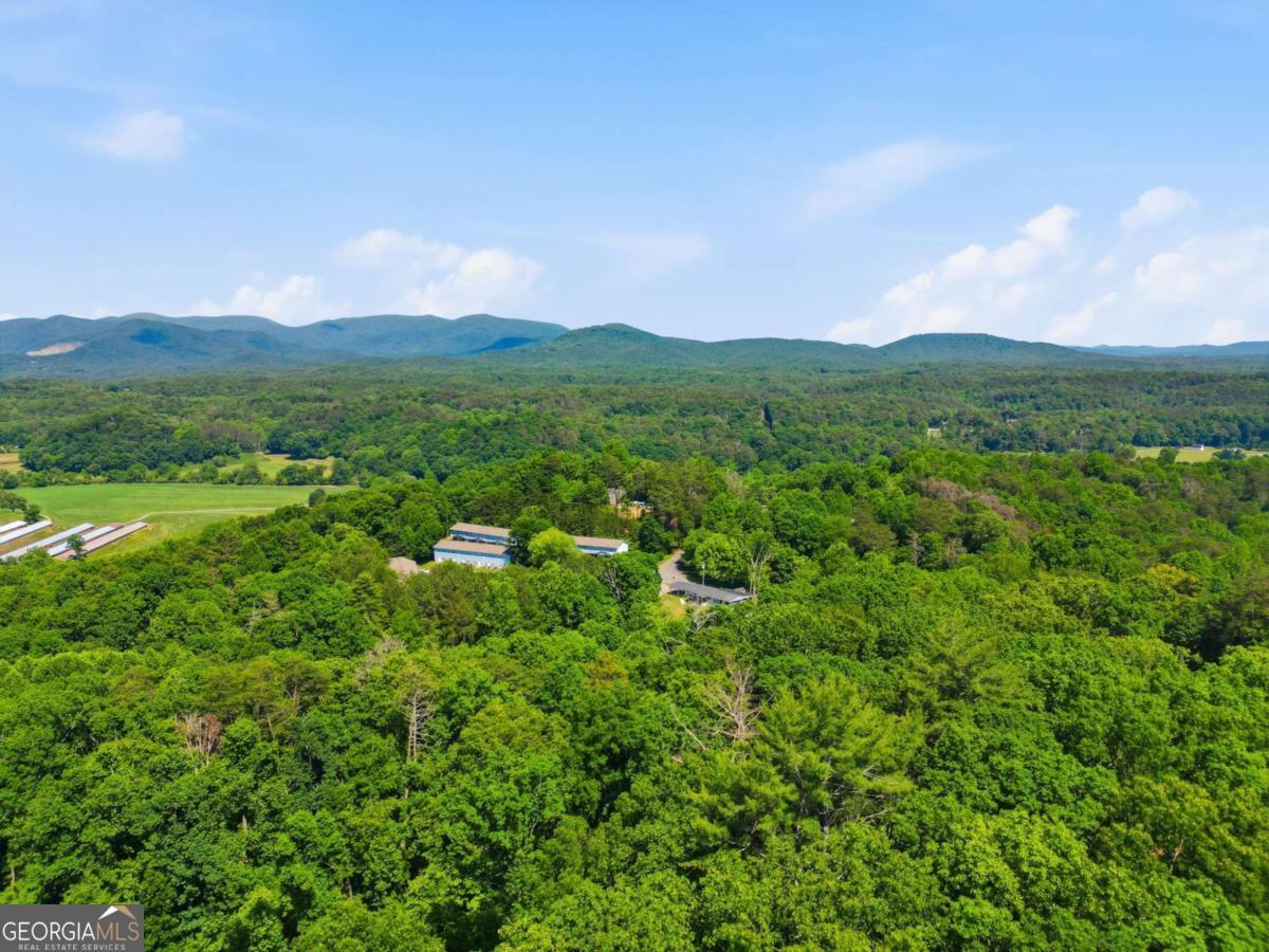 1110 Chatsworth Highway Property Photo 48