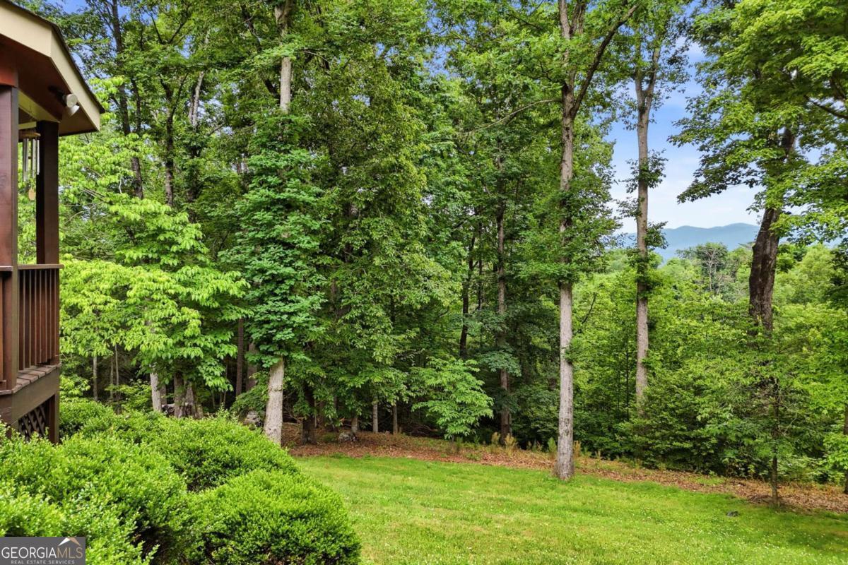 1110 Chatsworth Highway Property Photo 60
