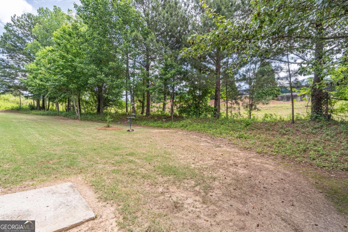 1216 Park Pass Way Property Photo 33