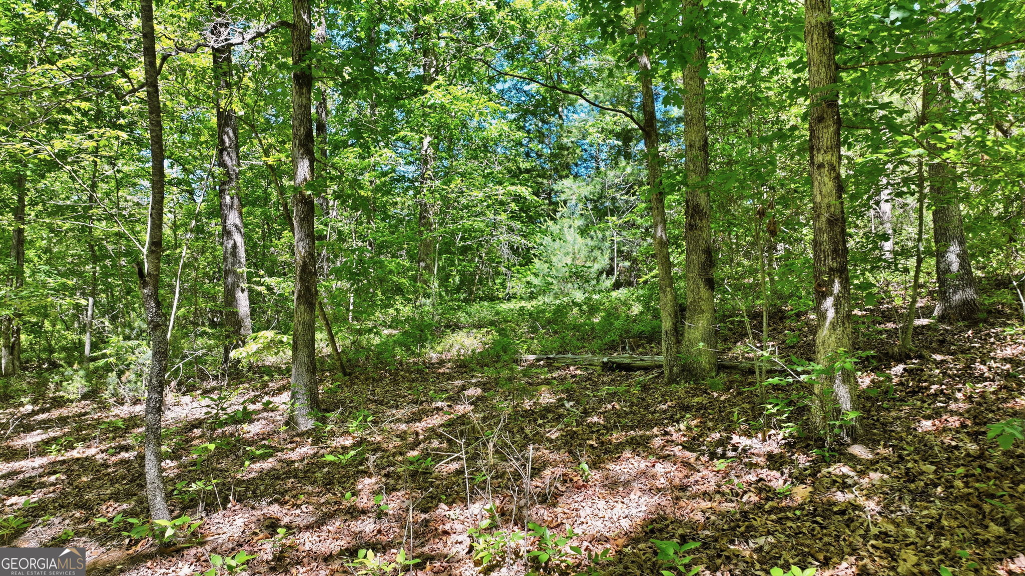 201 Spookhaven Lane Property Photo 4