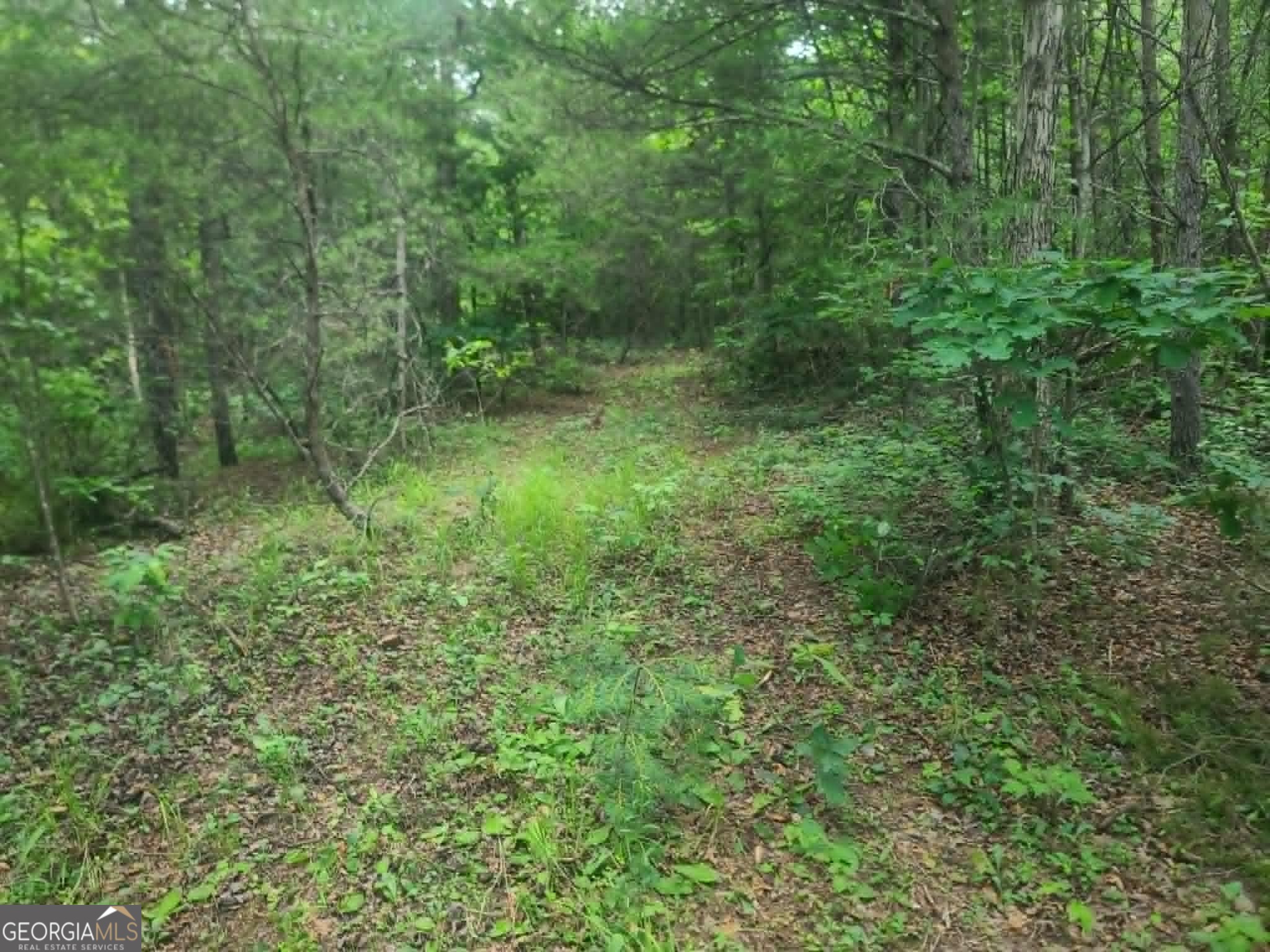 201 Spookhaven Lane Property Photo 15