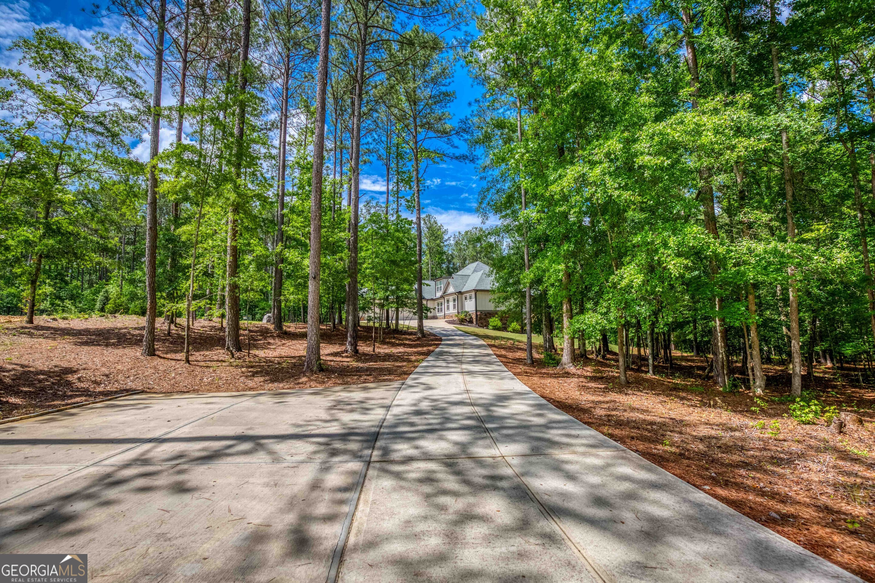 2529 Shockley Springs Drive Property Photo 40