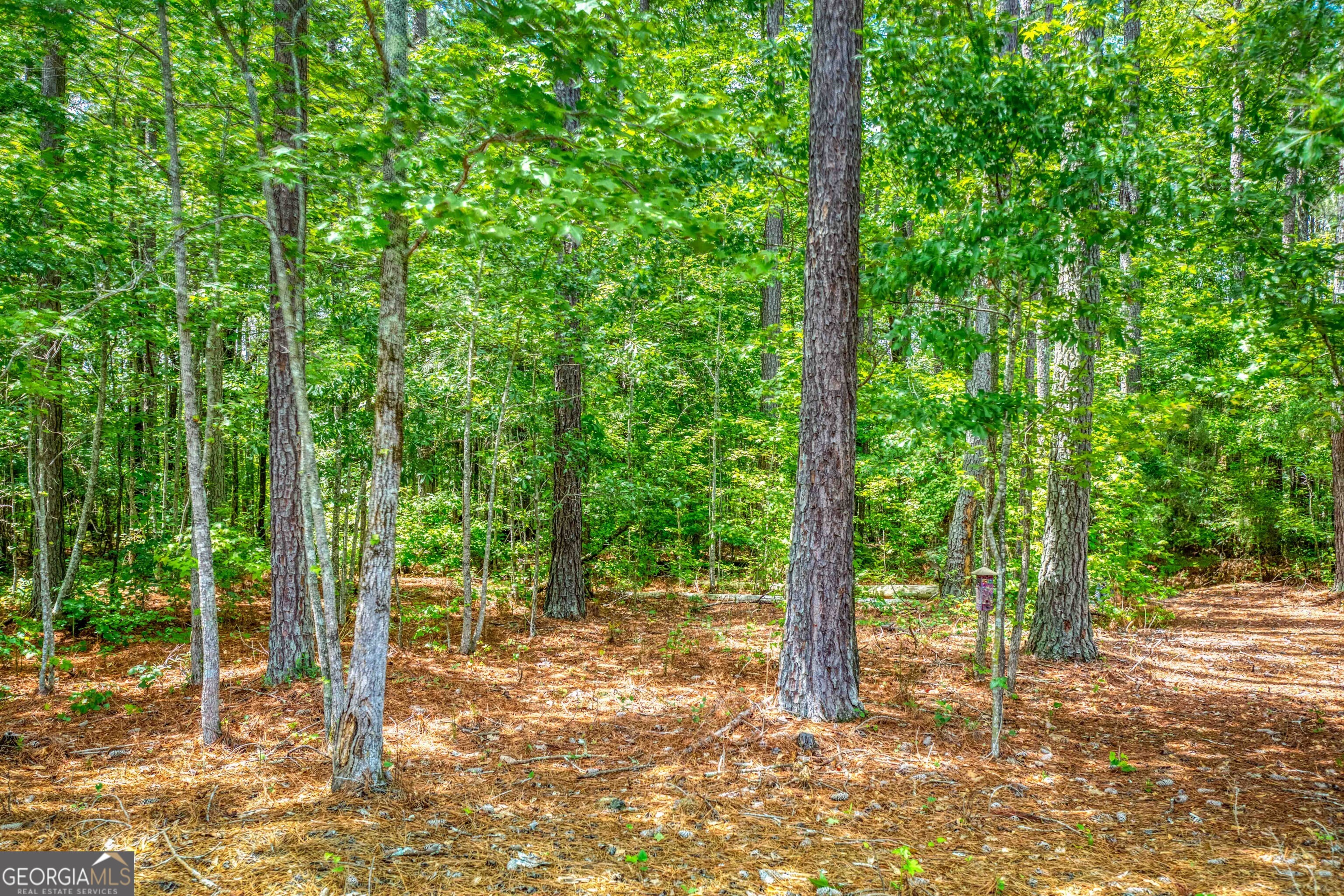 2529 Shockley Springs Drive Property Photo 41