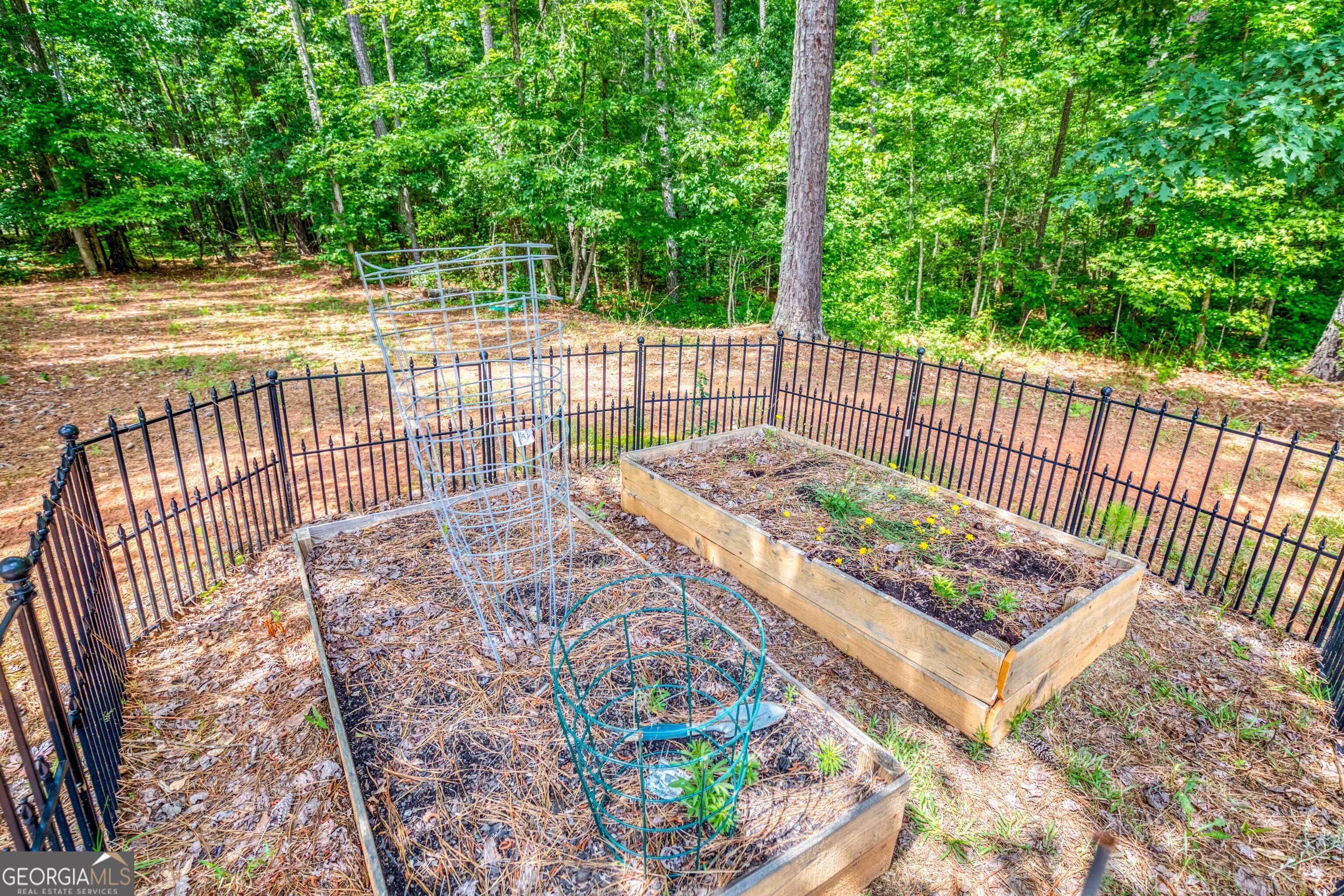 2529 Shockley Springs Drive Property Photo 42