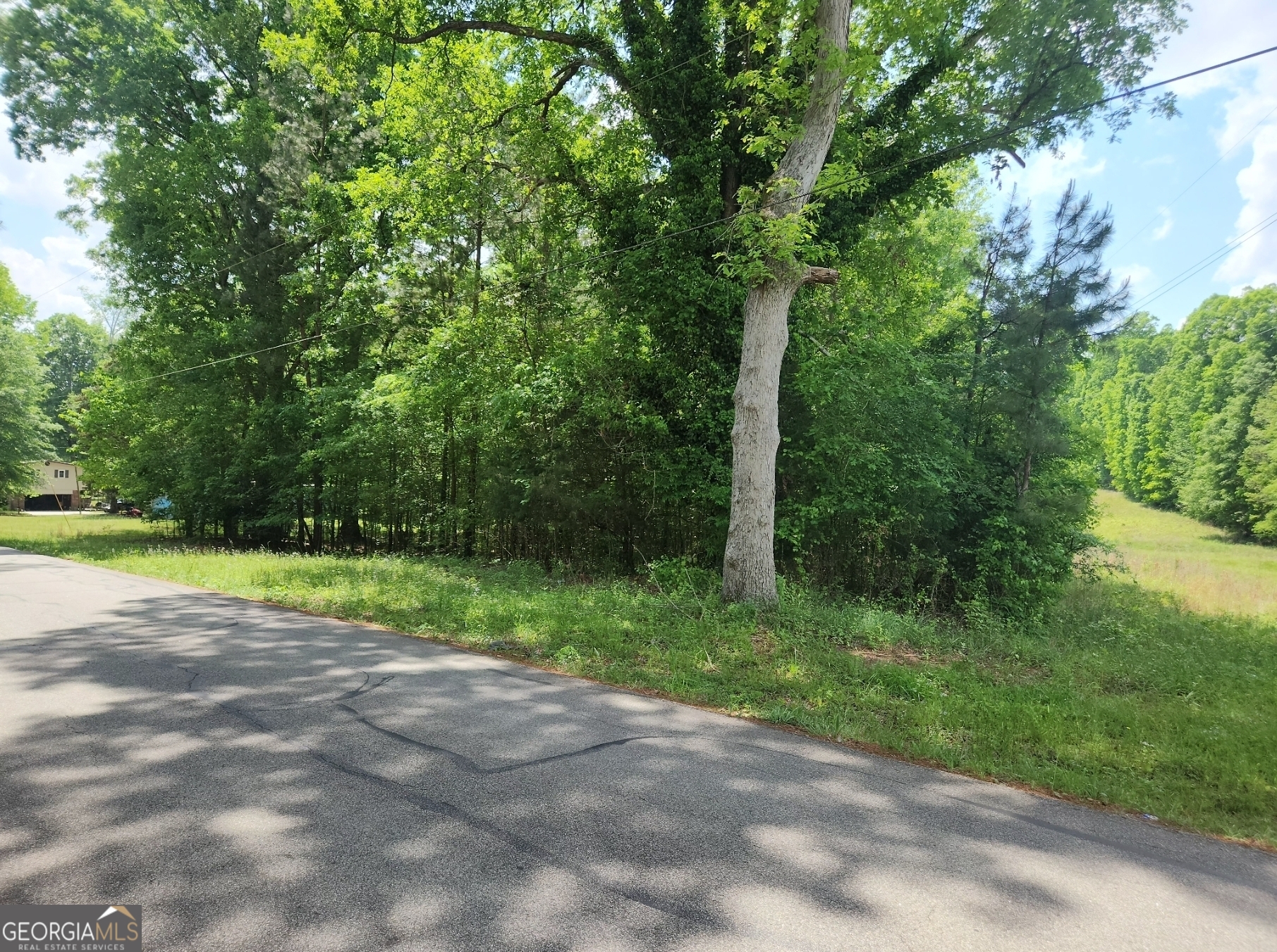 1241 Old Siloam Road Property Photo 2