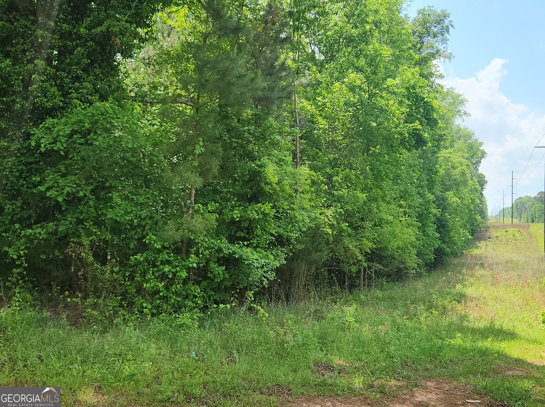 1241 Old Siloam Road Property Photo 3