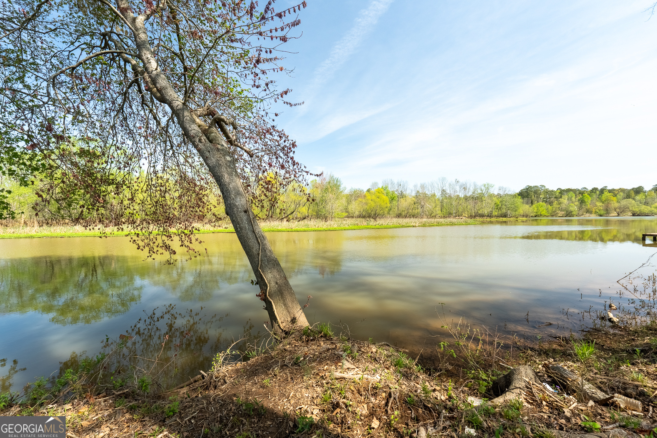 Lot 283 Henry Higgins Road Property Photo 3