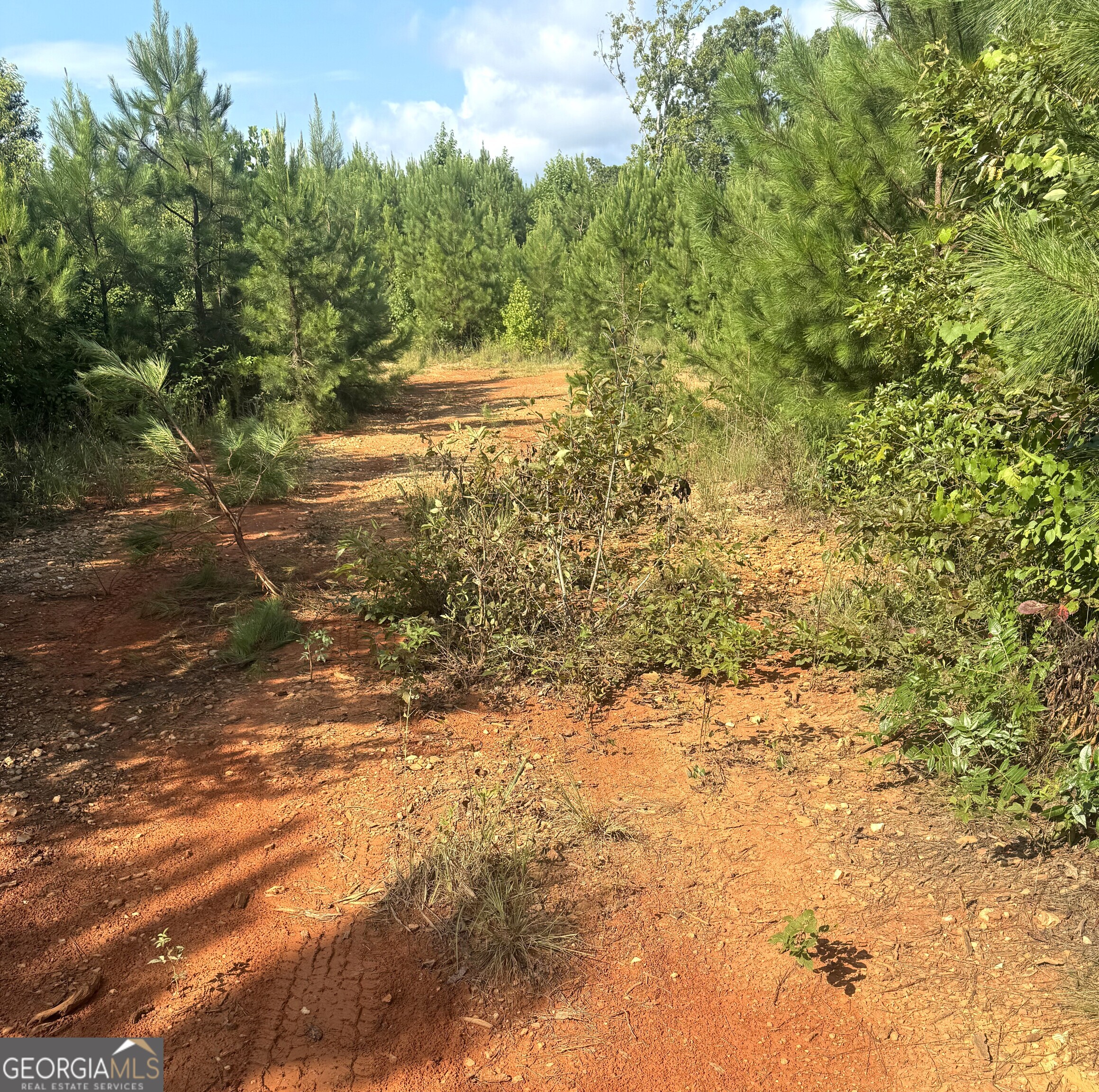 0 Co Rd 49 Property Photo 3