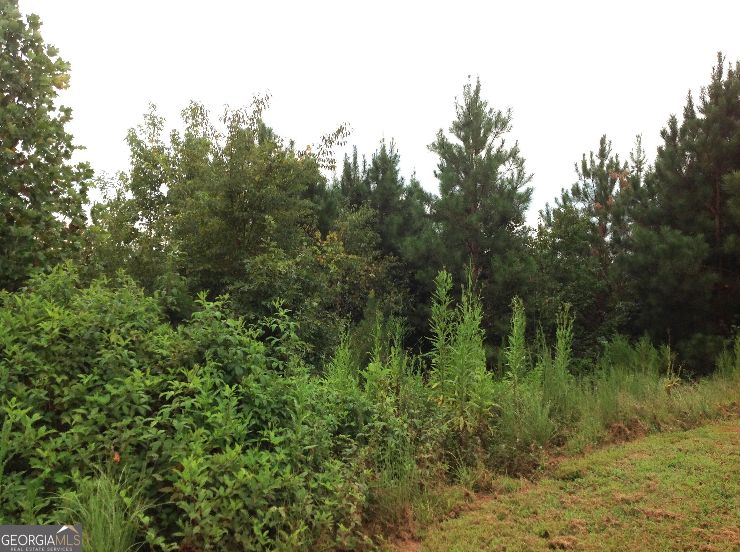 0 Co Rd 49 Property Photo 5