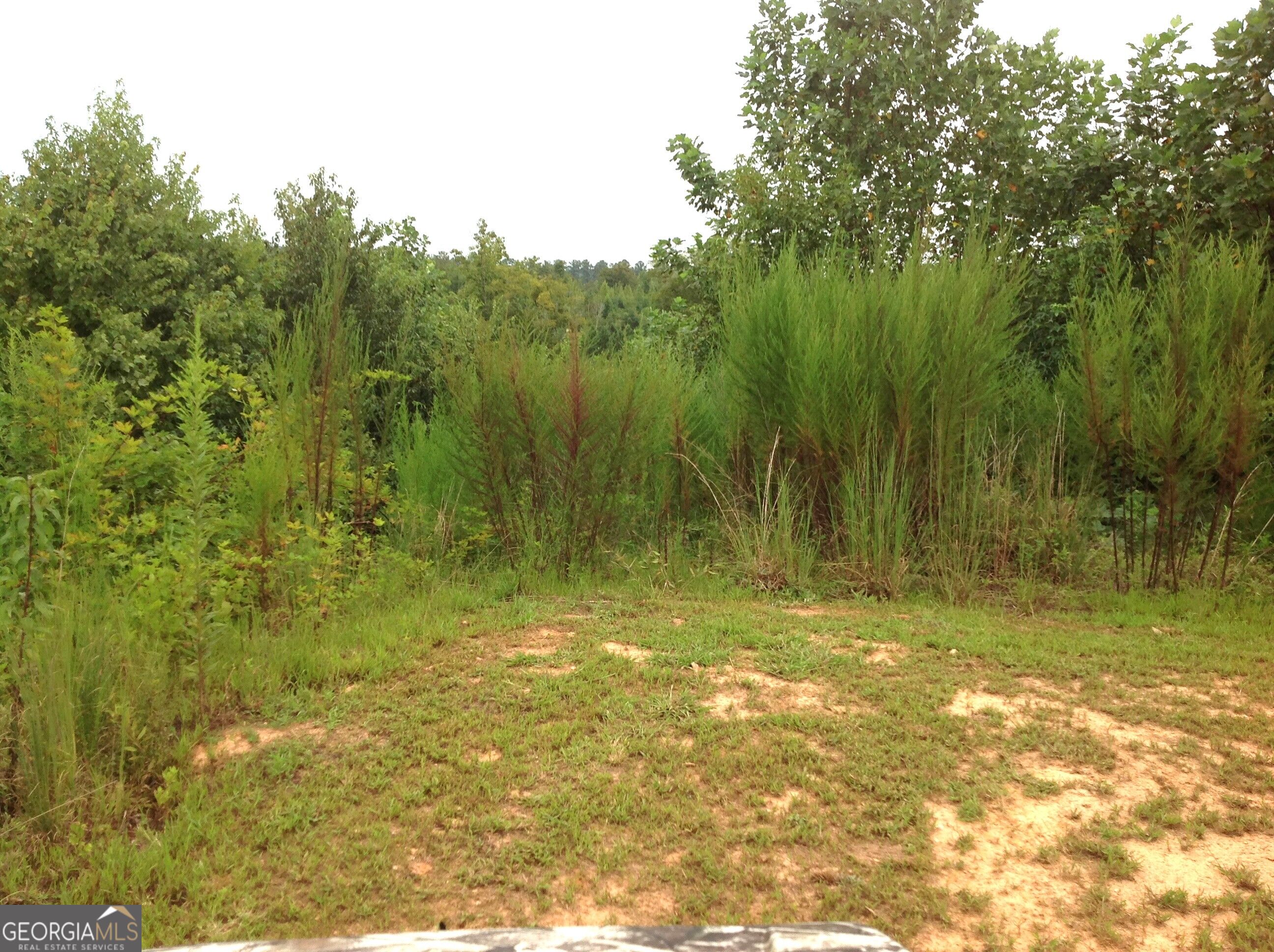 0 Co Rd 49 Property Photo 6